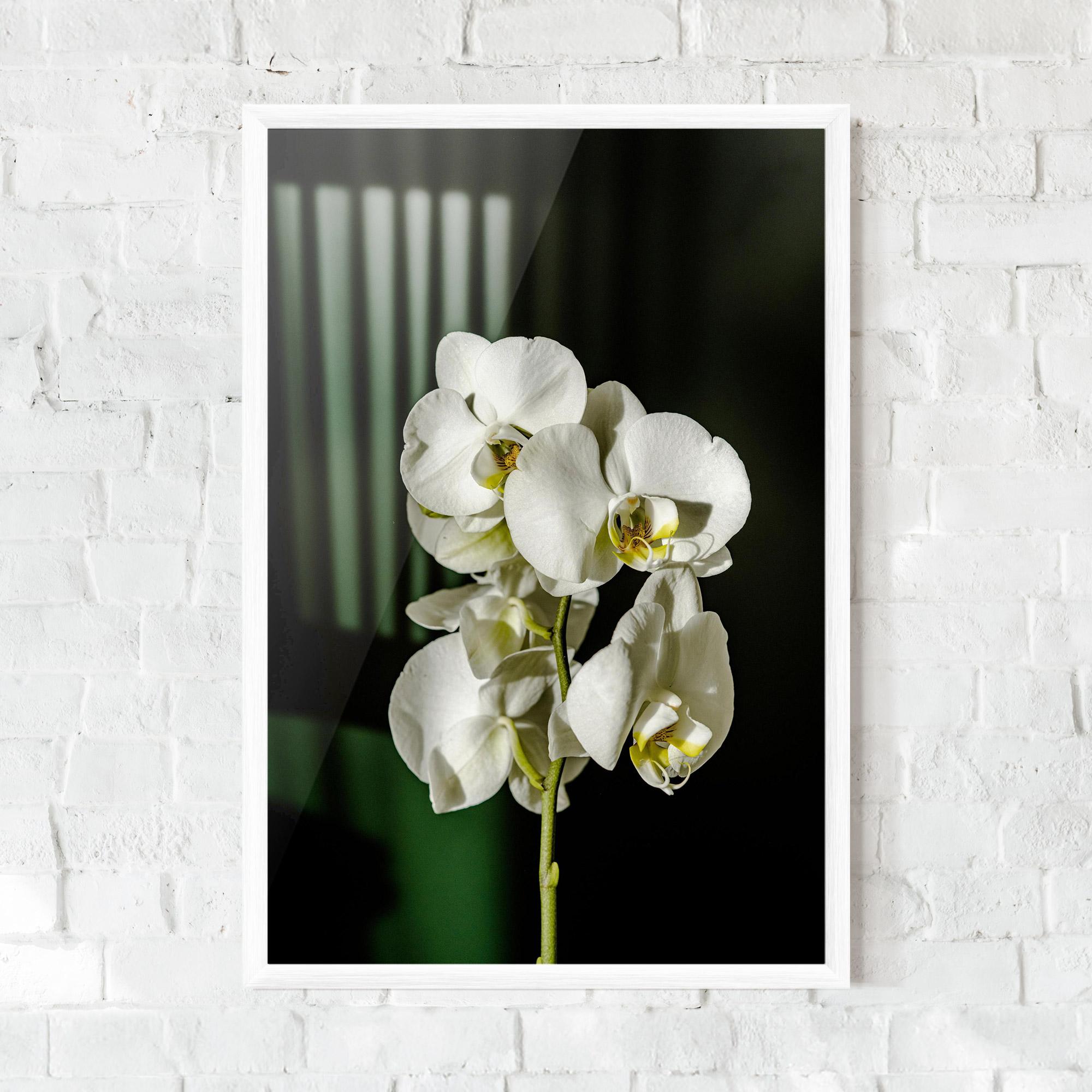 Keretezett Poszter Orchid On Green mockup 0