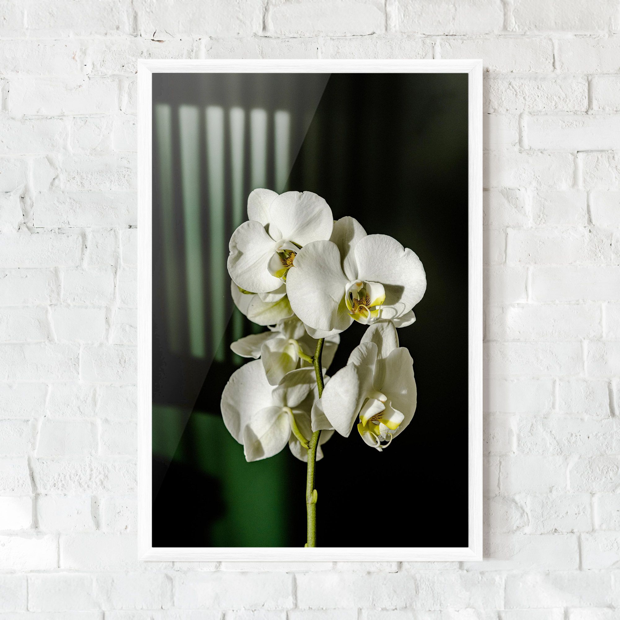 Orchid On Green mockup 0