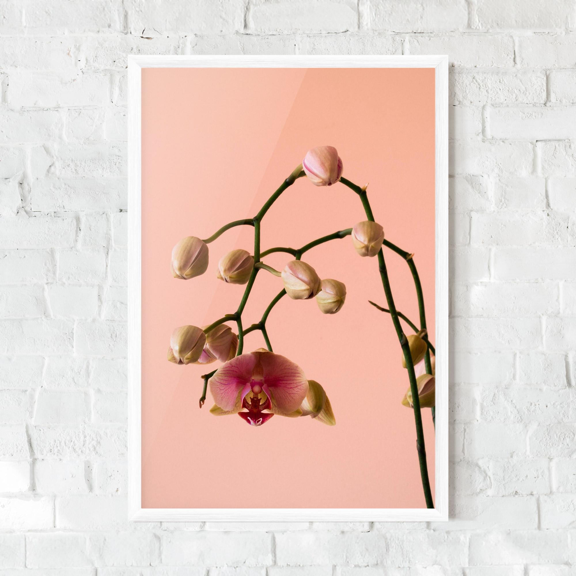 Keretezett Poszter Orchids On Pink mockup 0