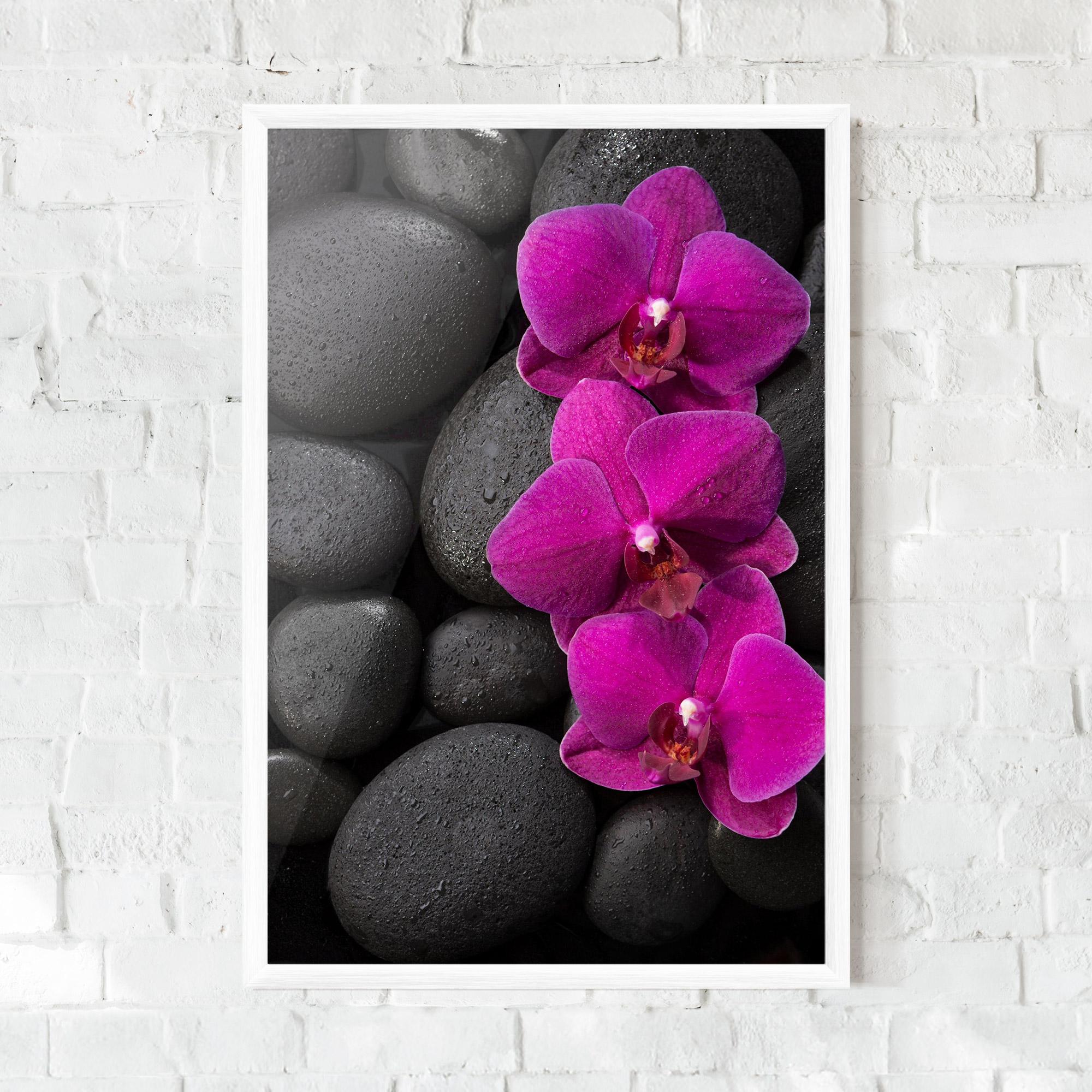 Keretezett Poszter Purple Orchid On Rocks mockup 0