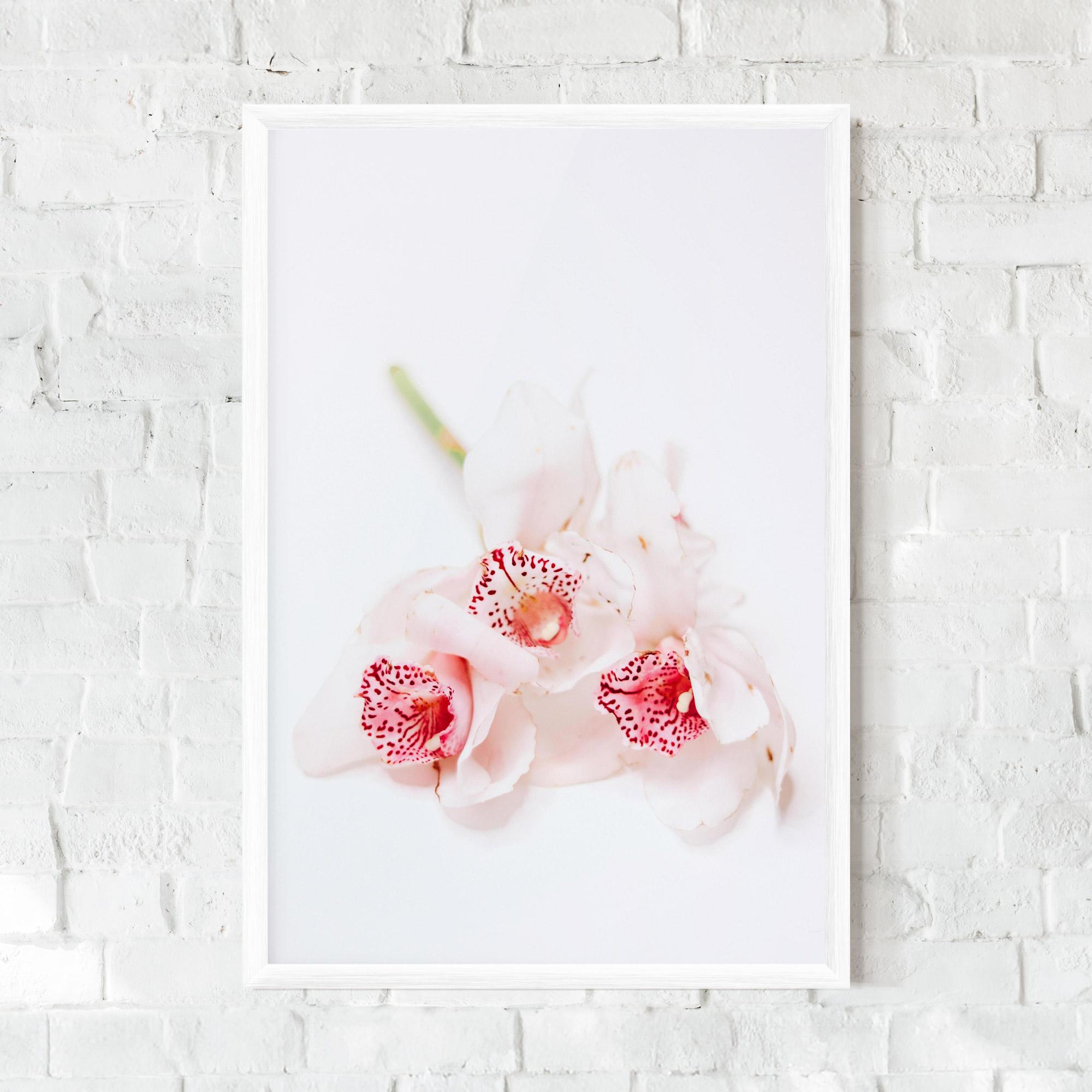 Keretezett Poszter White Orchid With Pink mockup 0