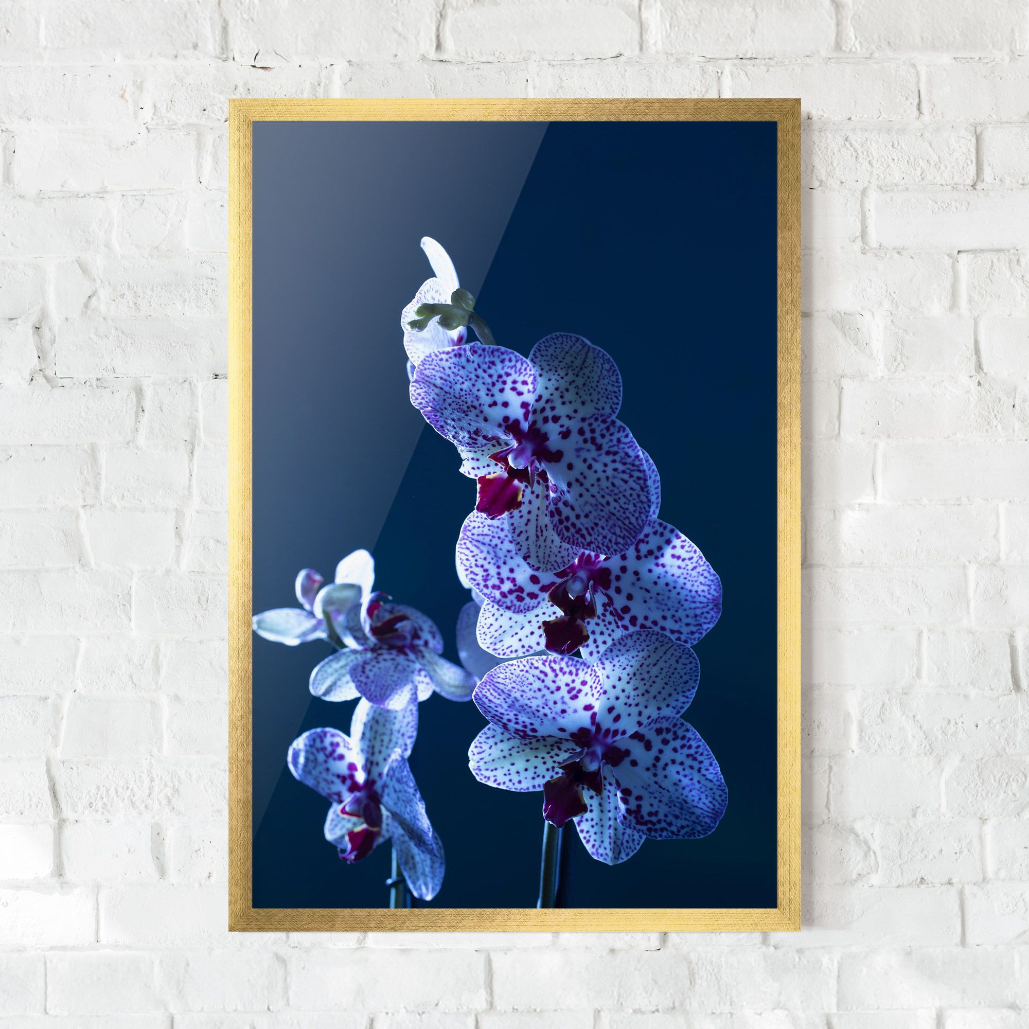 Blue Light Orchid mockup 0