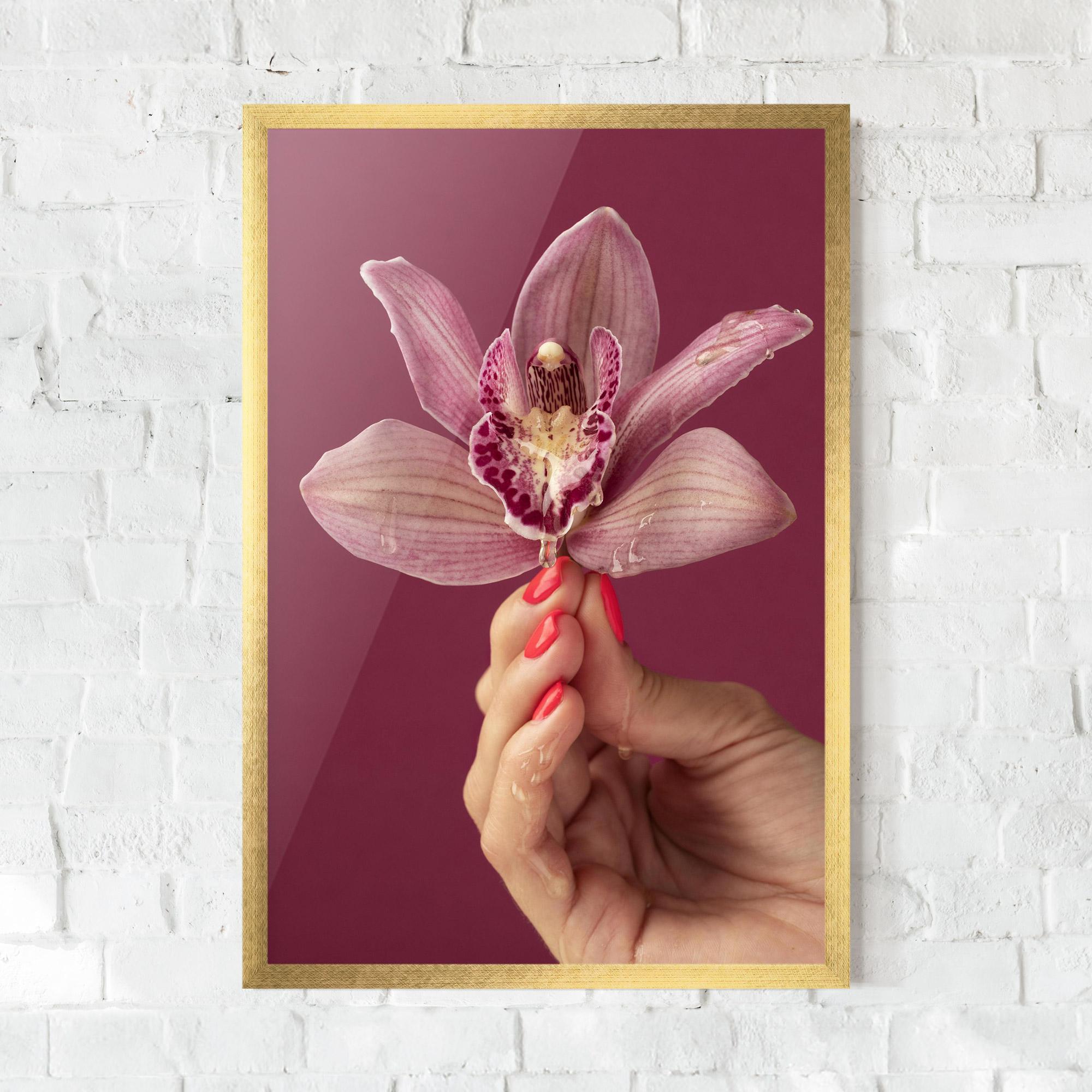 Keretezett Poszter Orchid Holding mockup 0