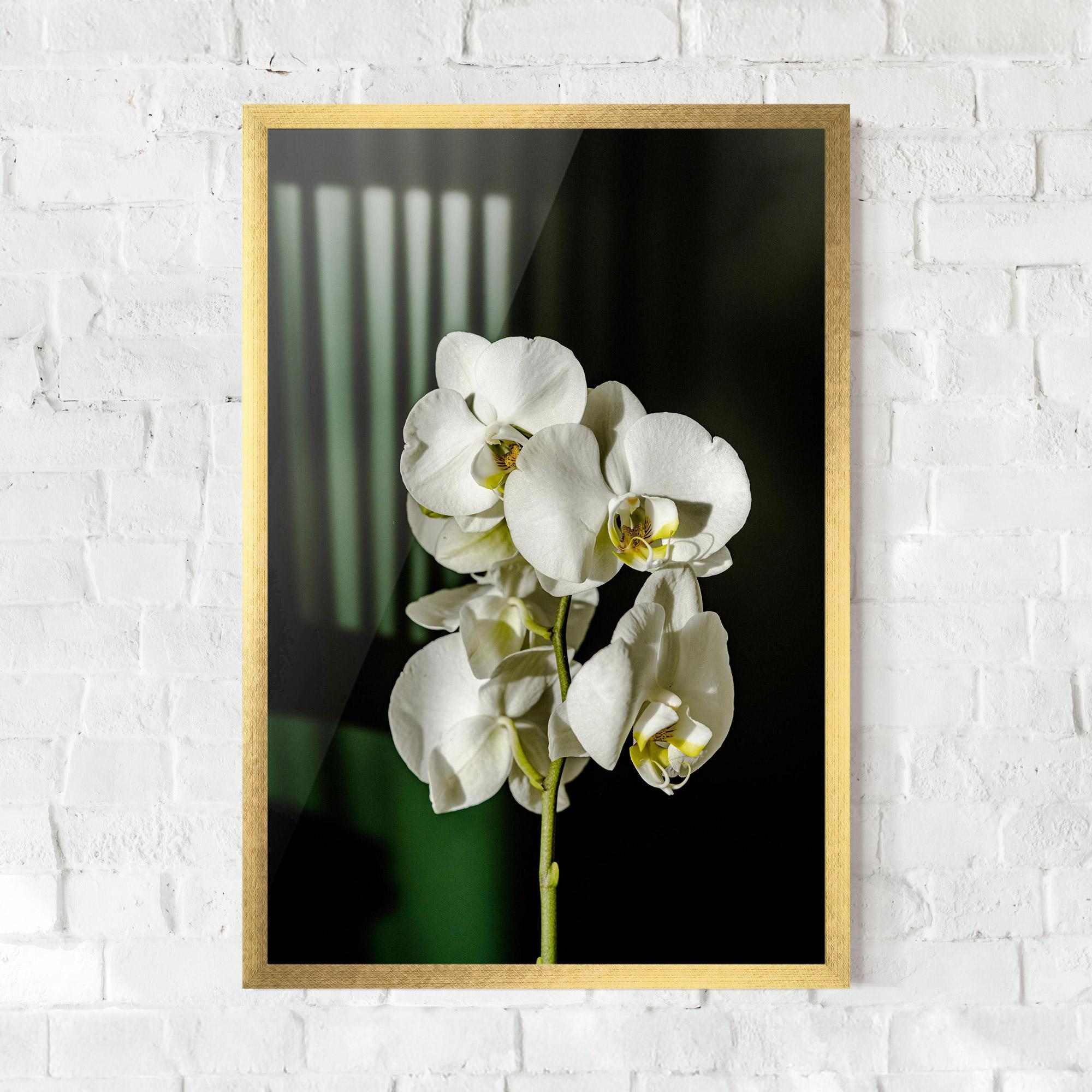 Keretezett Poszter Orchid On Green mockup 0