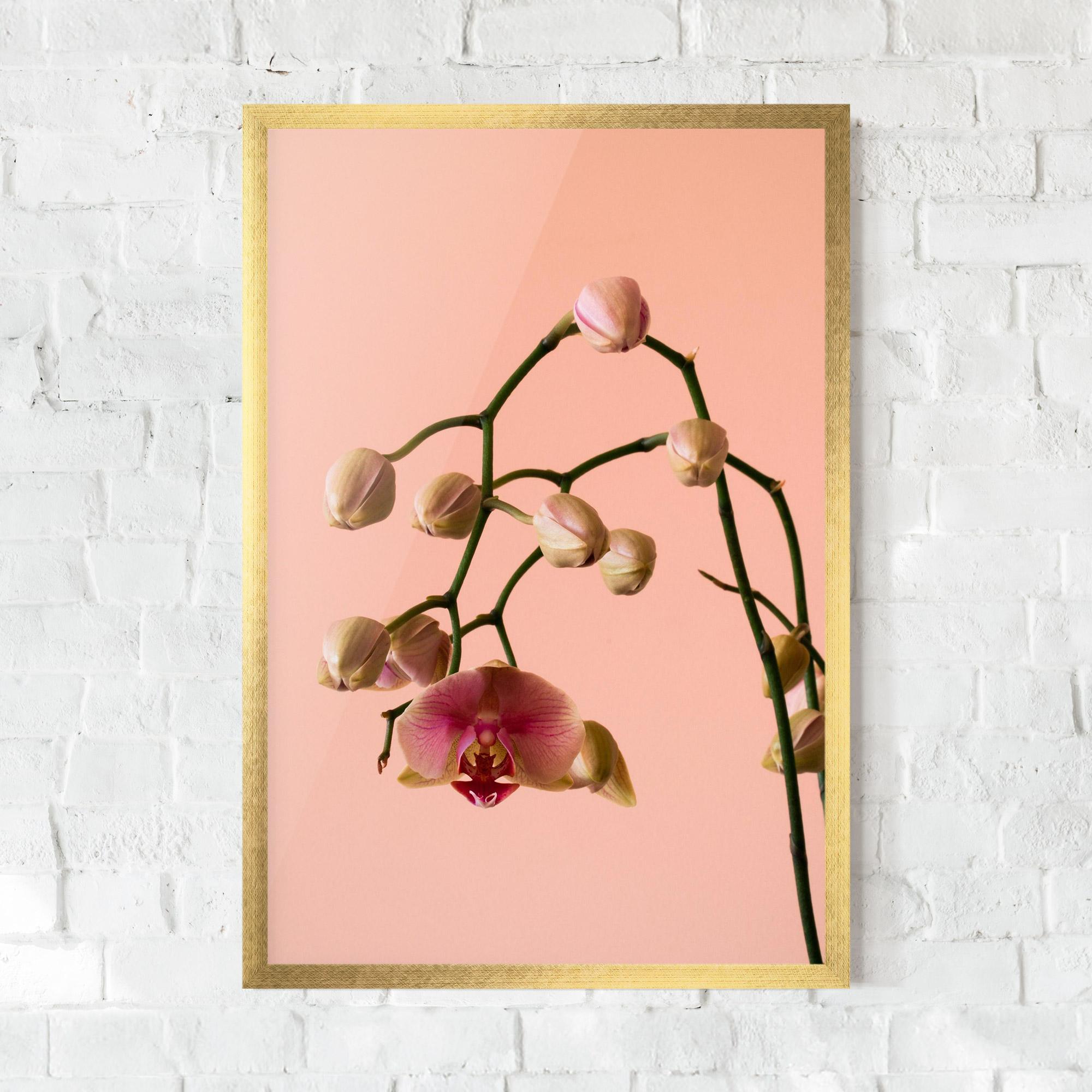 Keretezett Poszter Orchids On Pink mockup 0