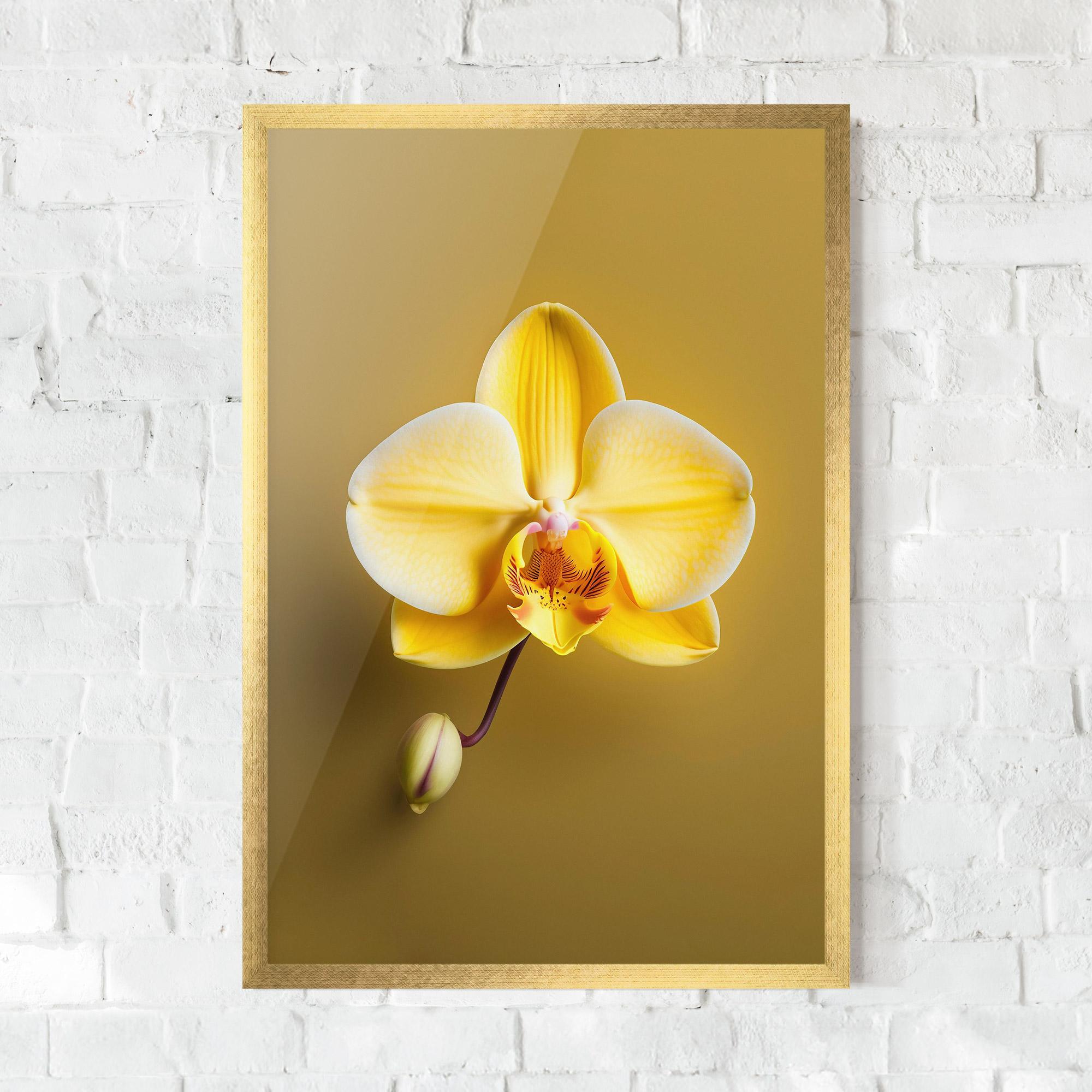 Keretezett Poszter Pastel Yellow Orchid mockup 0