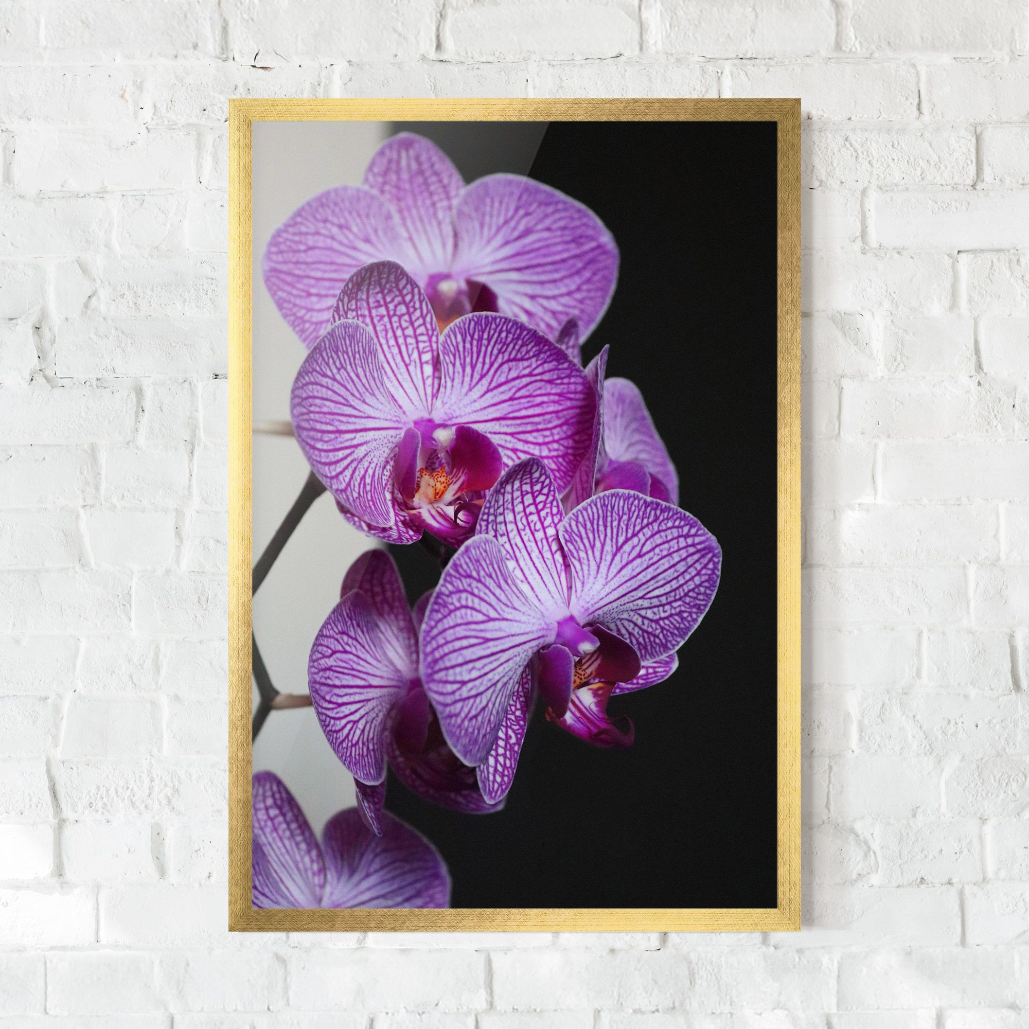 Purple Orchid On Black mockup 0