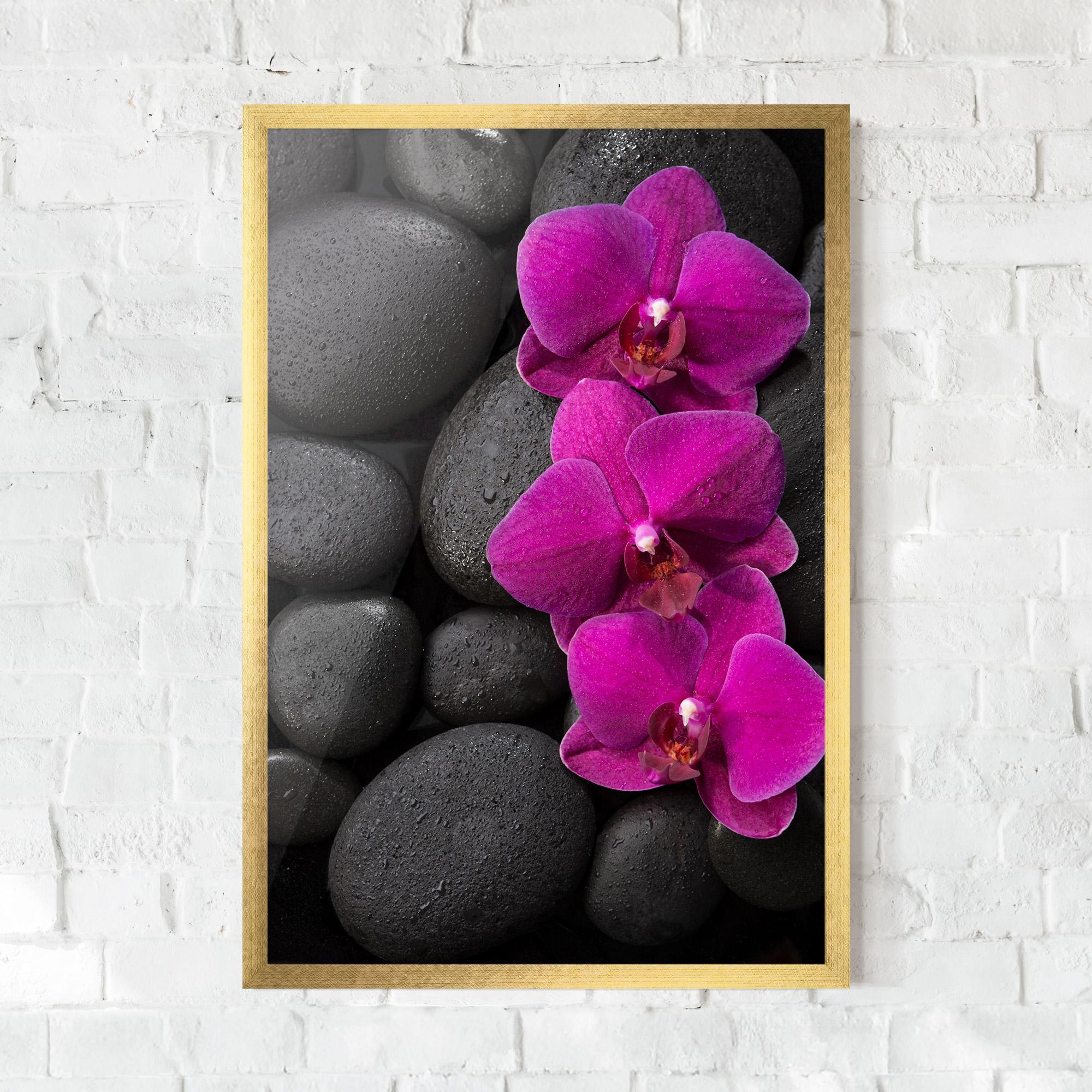 Keretezett Poszter Purple Orchid On Rocks mockup 0