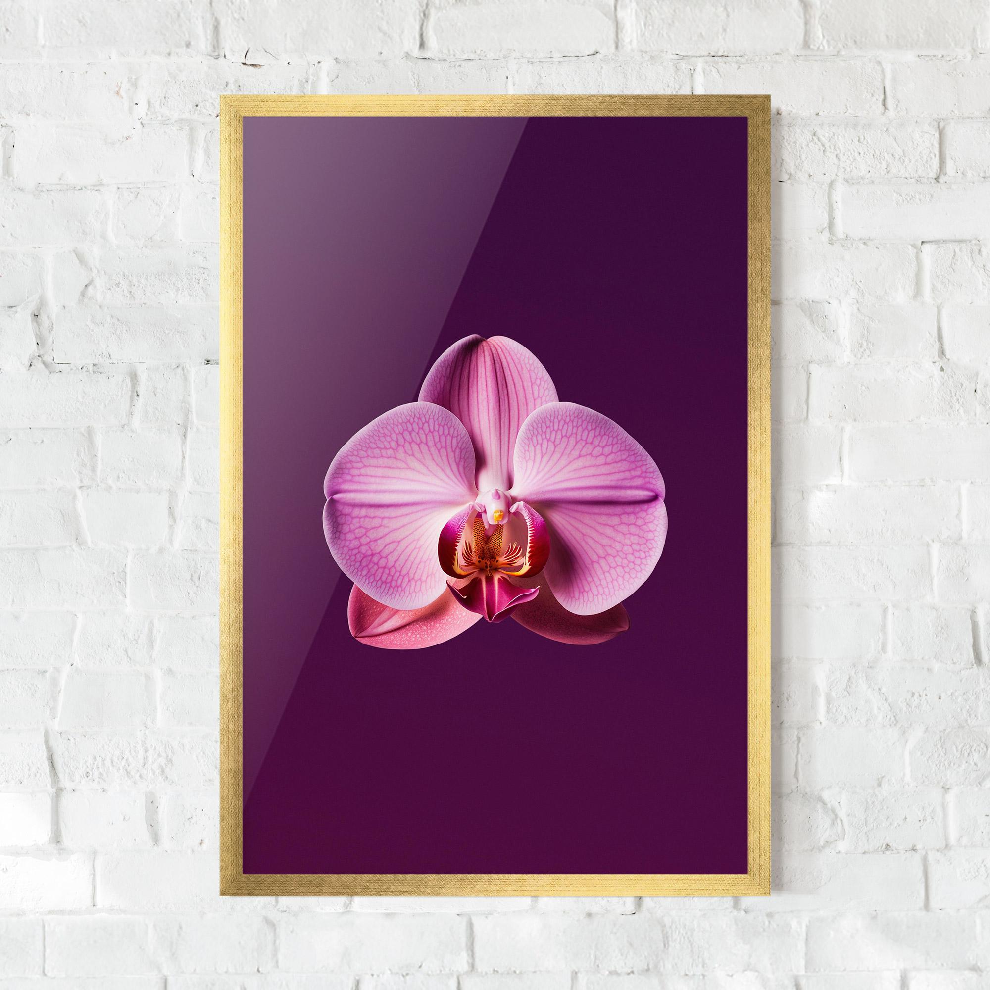 Keretezett Poszter Purple Orchid mockup 0