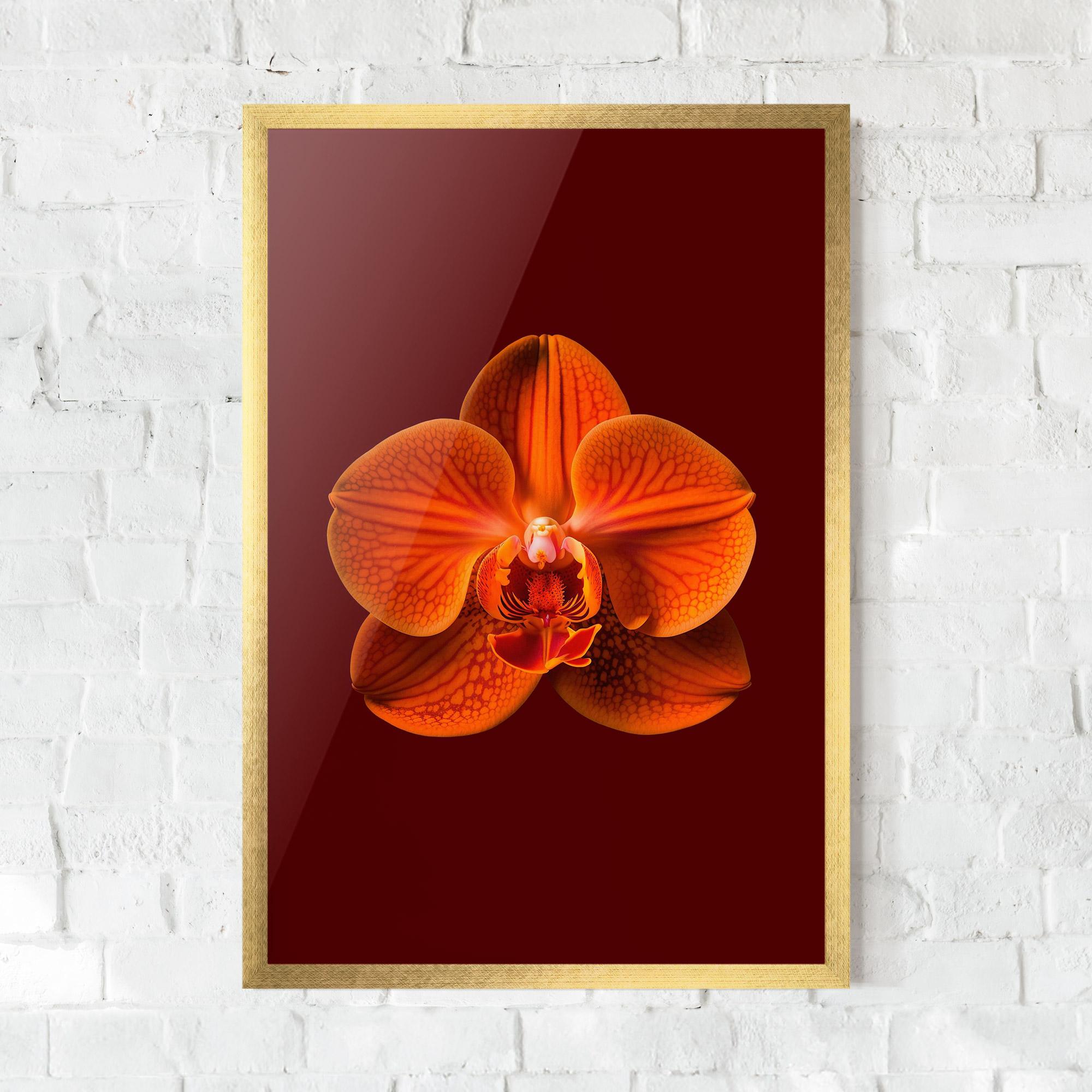 Keretezett Poszter Strong Orange Orchid mockup 0