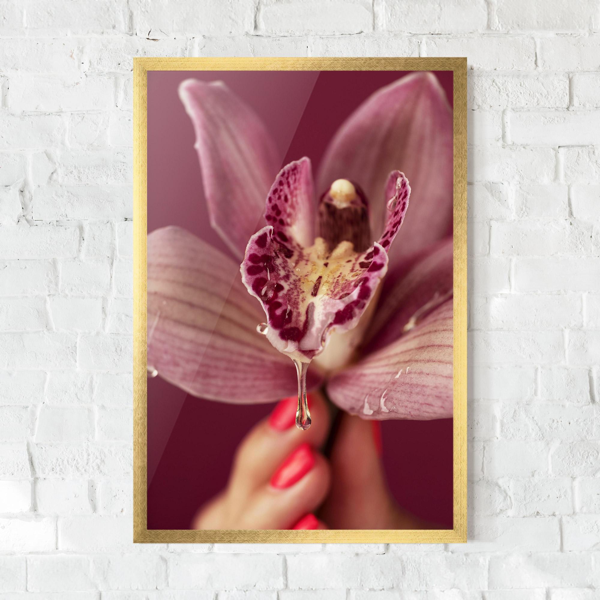 Keretezett Poszter Wet Orchid mockup 0