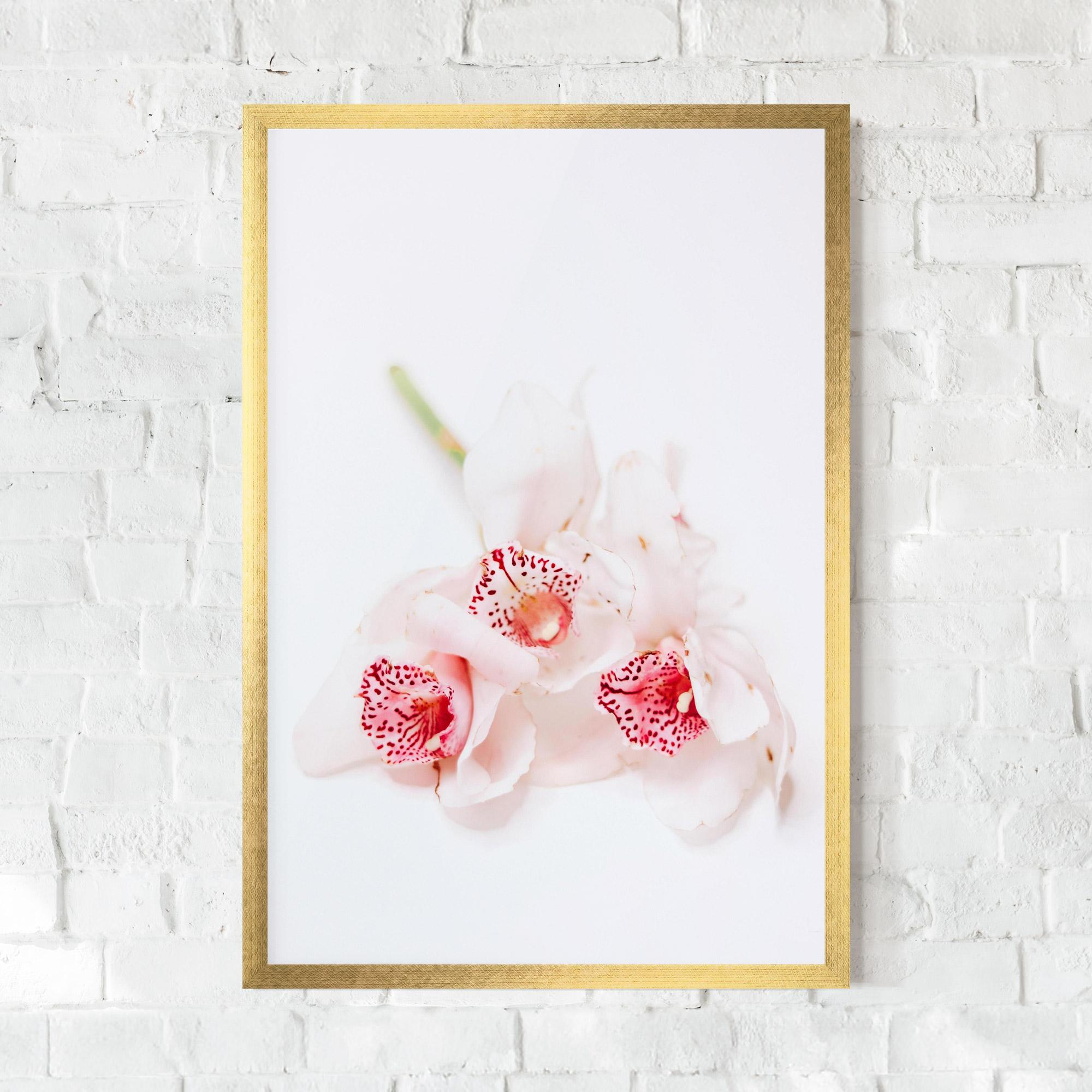 Keretezett Poszter White Orchid With Pink mockup 0