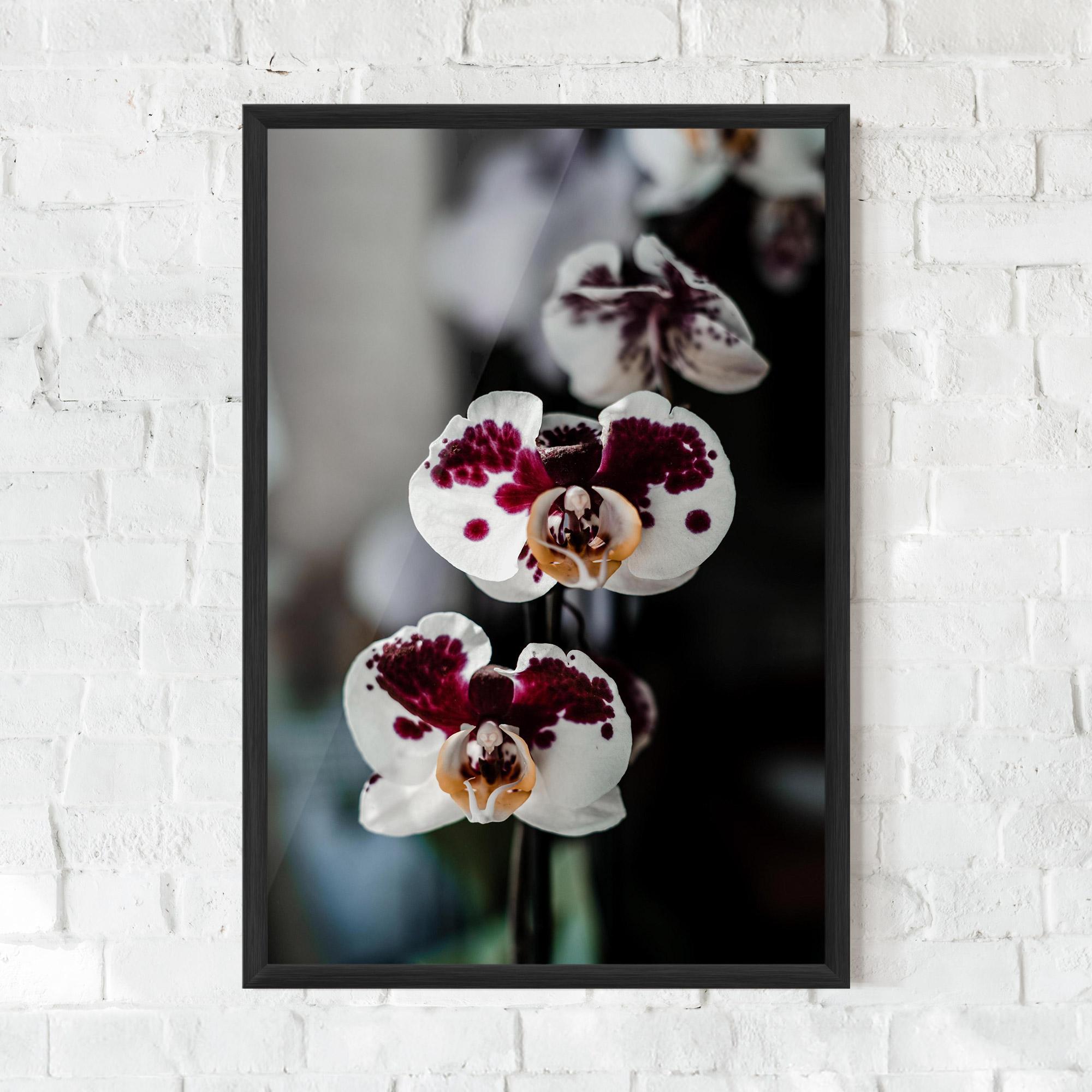Keretezett Poszter Dark Purple Orchid mockup 0