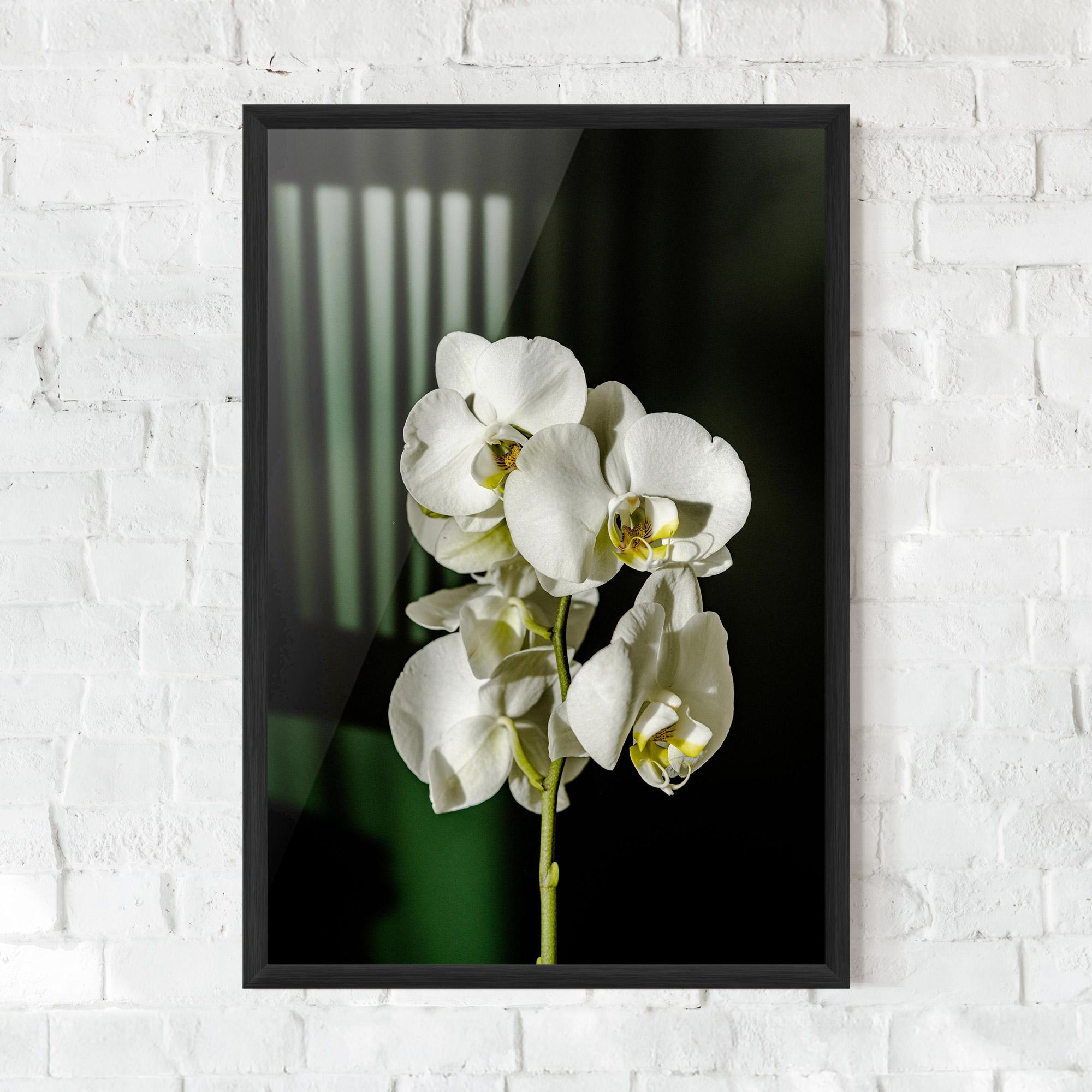 Keretezett Poszter Orchid On Green mockup 0
