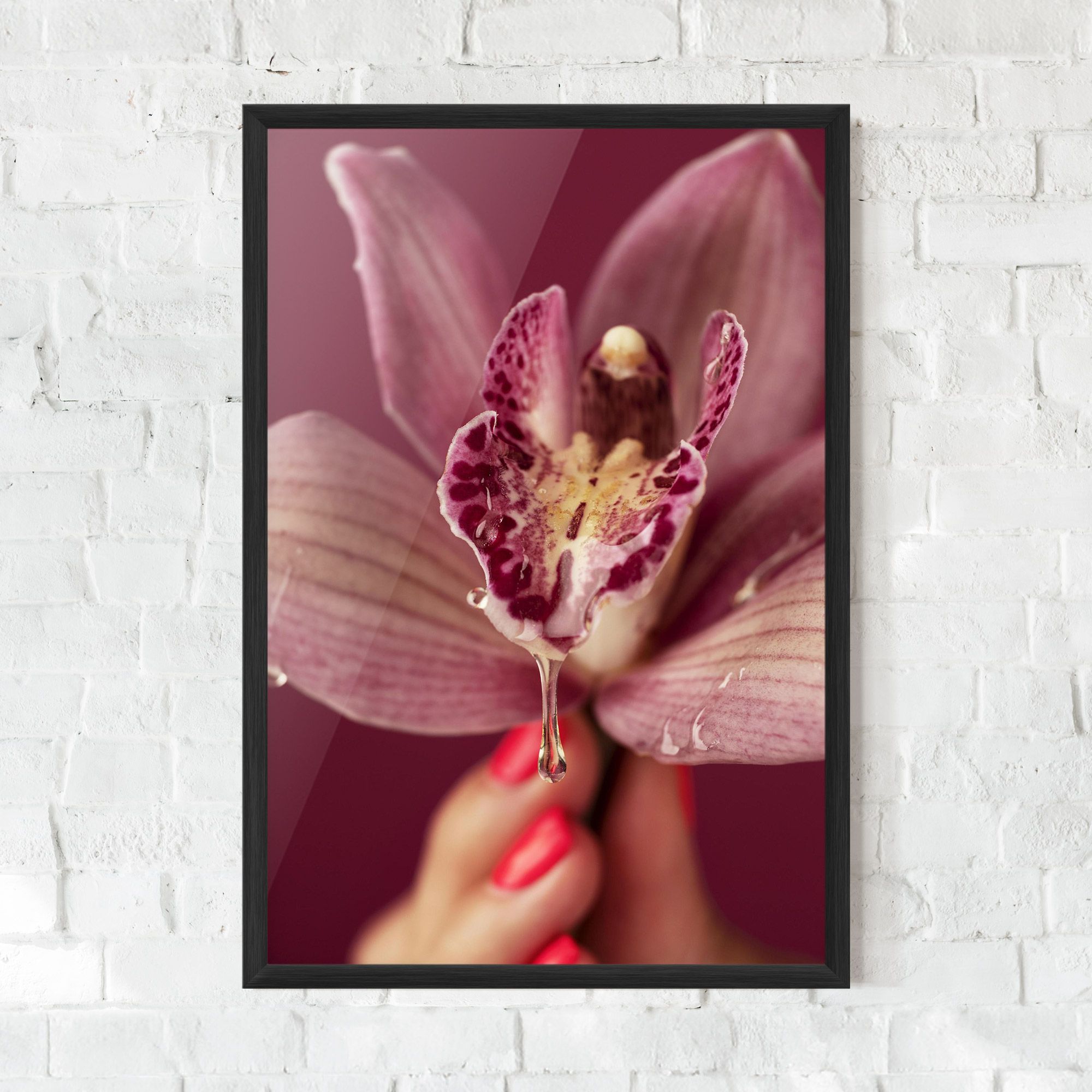 Wet Orchid mockup 0