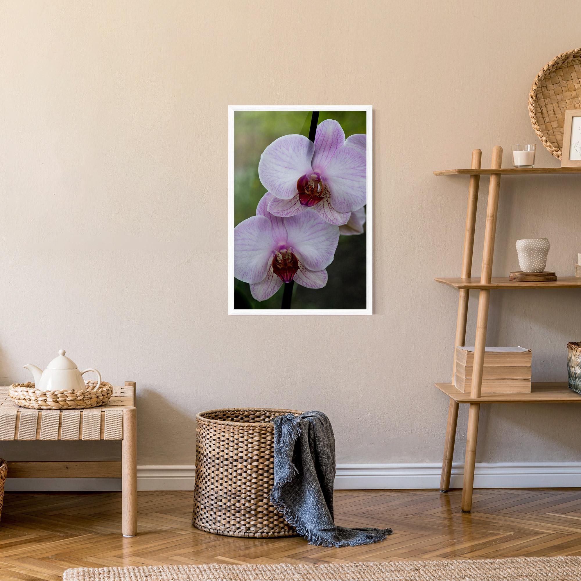 Keretezett Poszter Garden Light Purple Orchid mockup 9