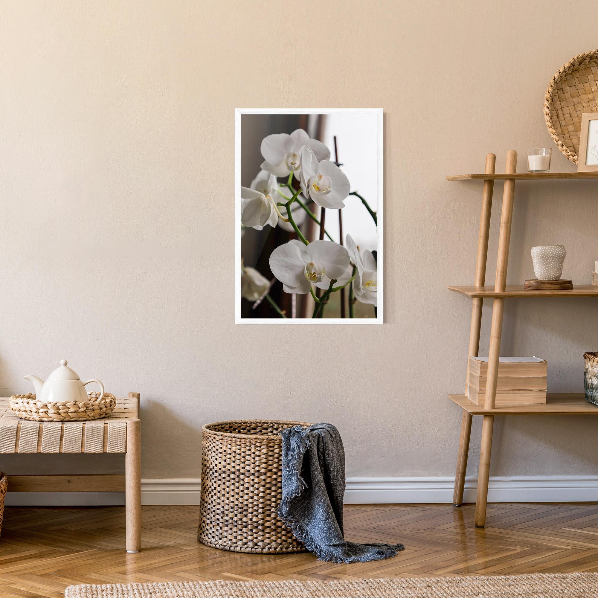 Keretezett Poszter White Orchid Growing mockup 9