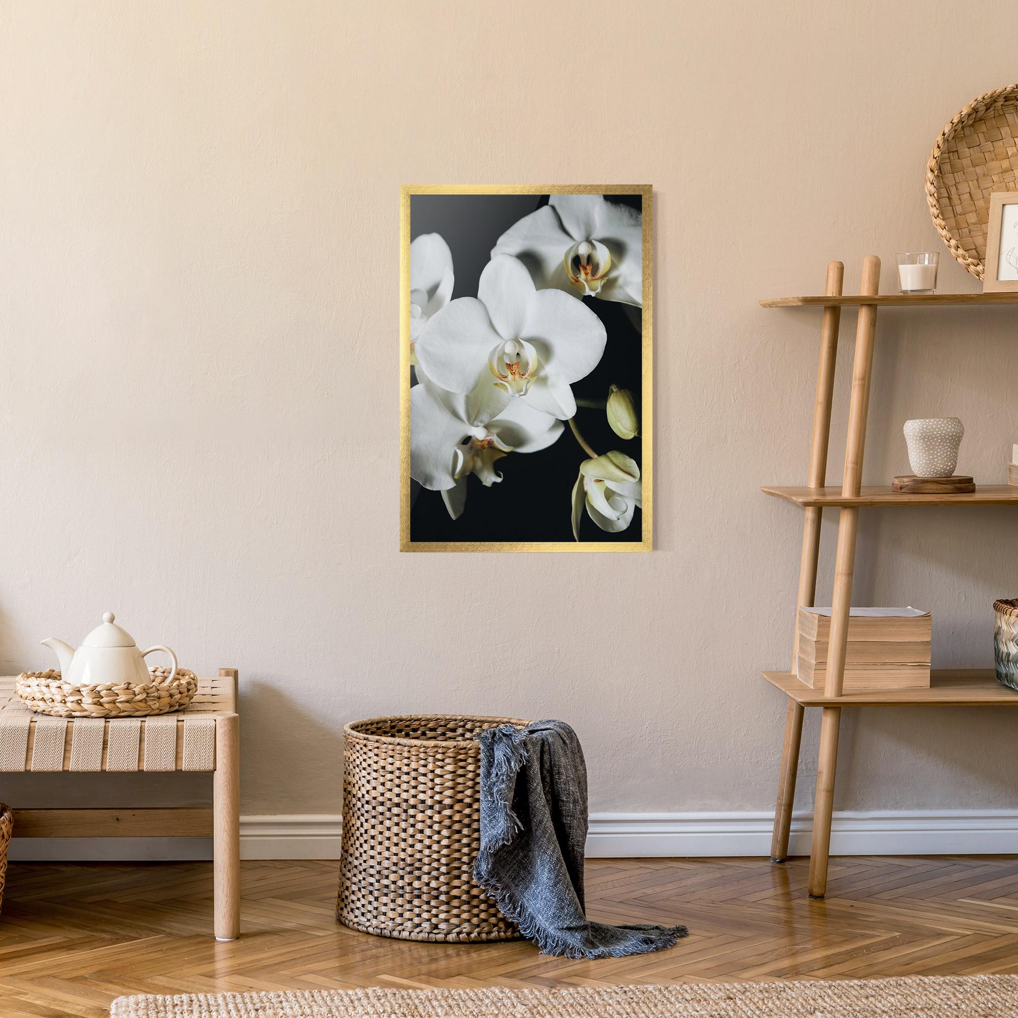 Keretezett Poszter White Orchid On Black mockup 9