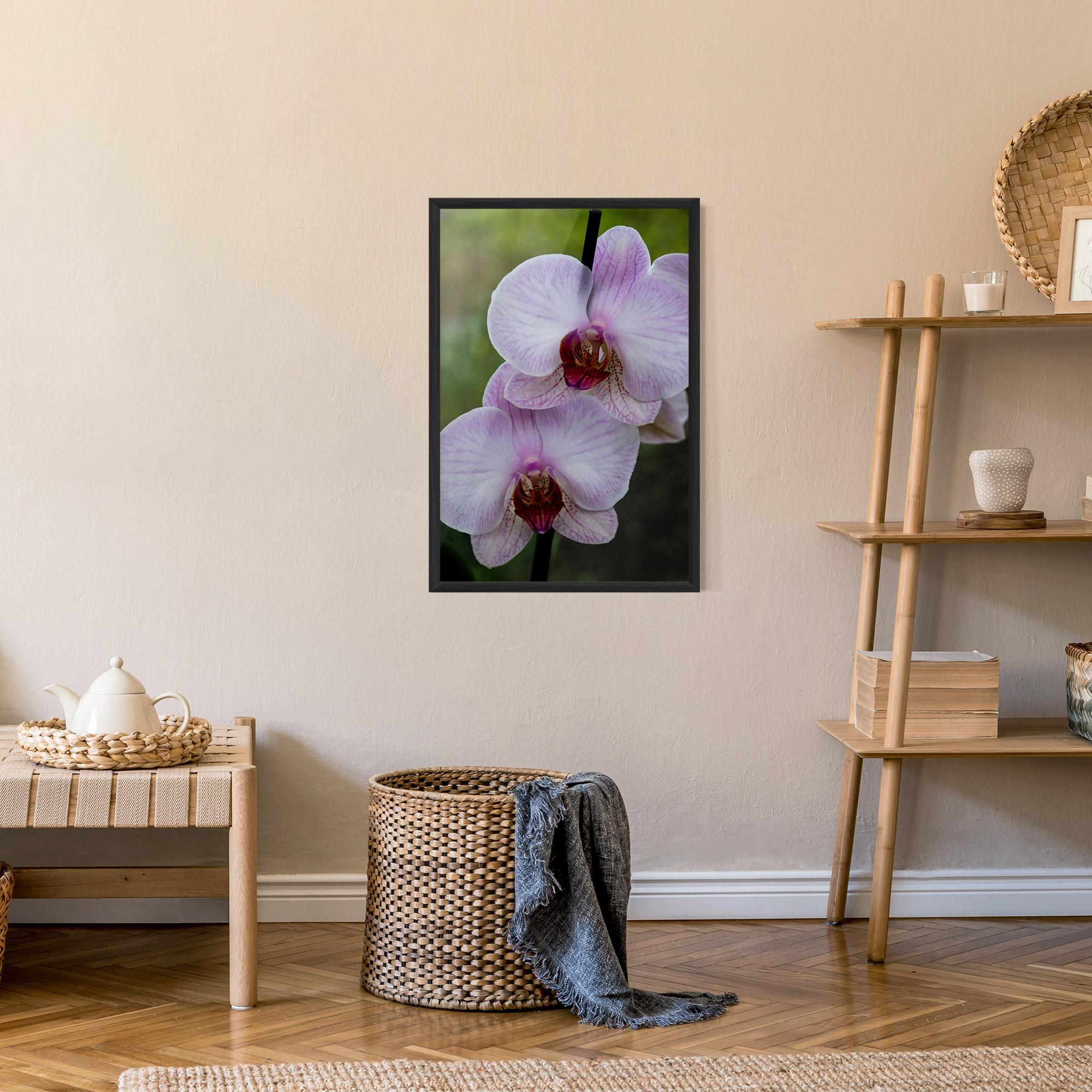 Keretezett Poszter Garden Light Purple Orchid mockup 9