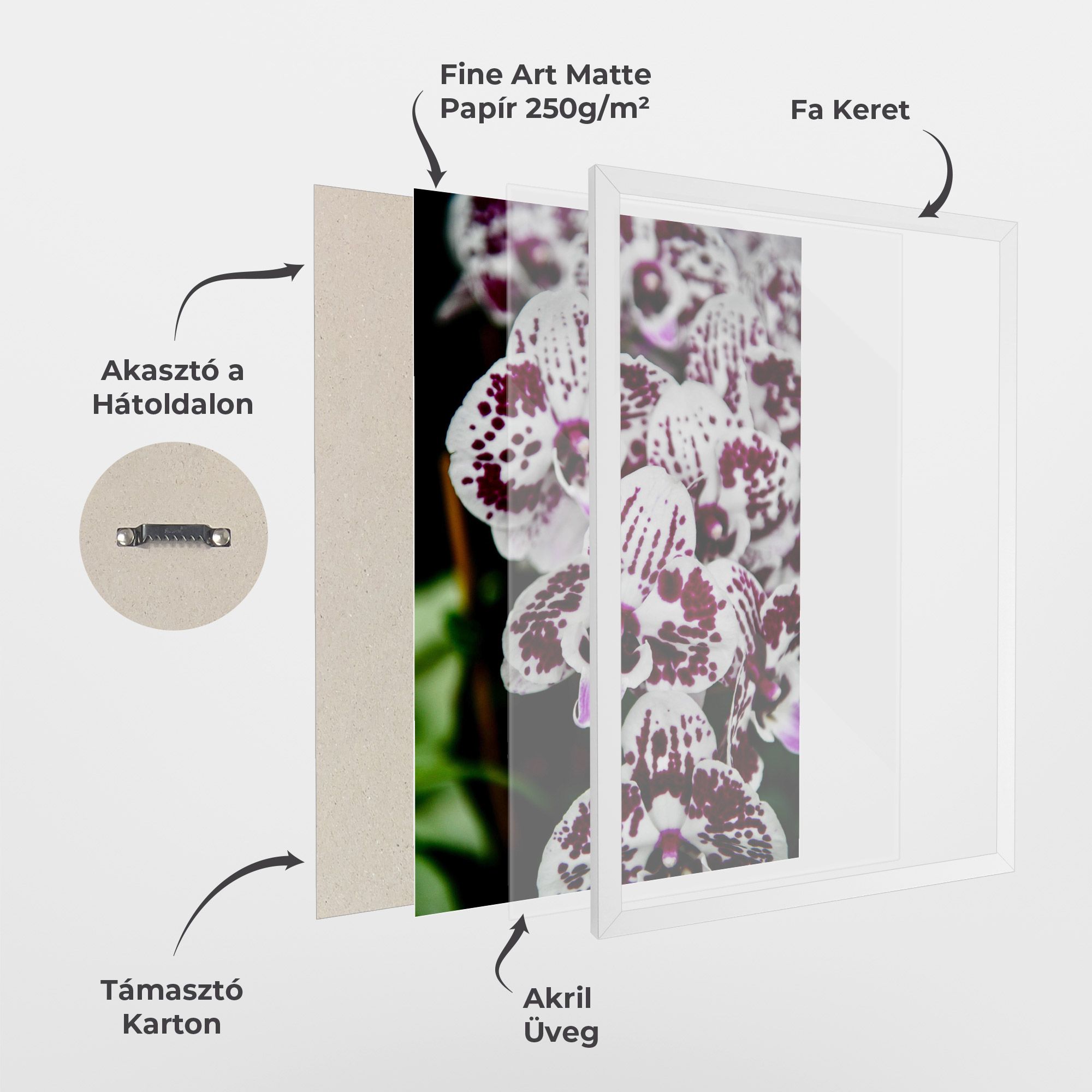 Dark Purple Orchids mockup 1