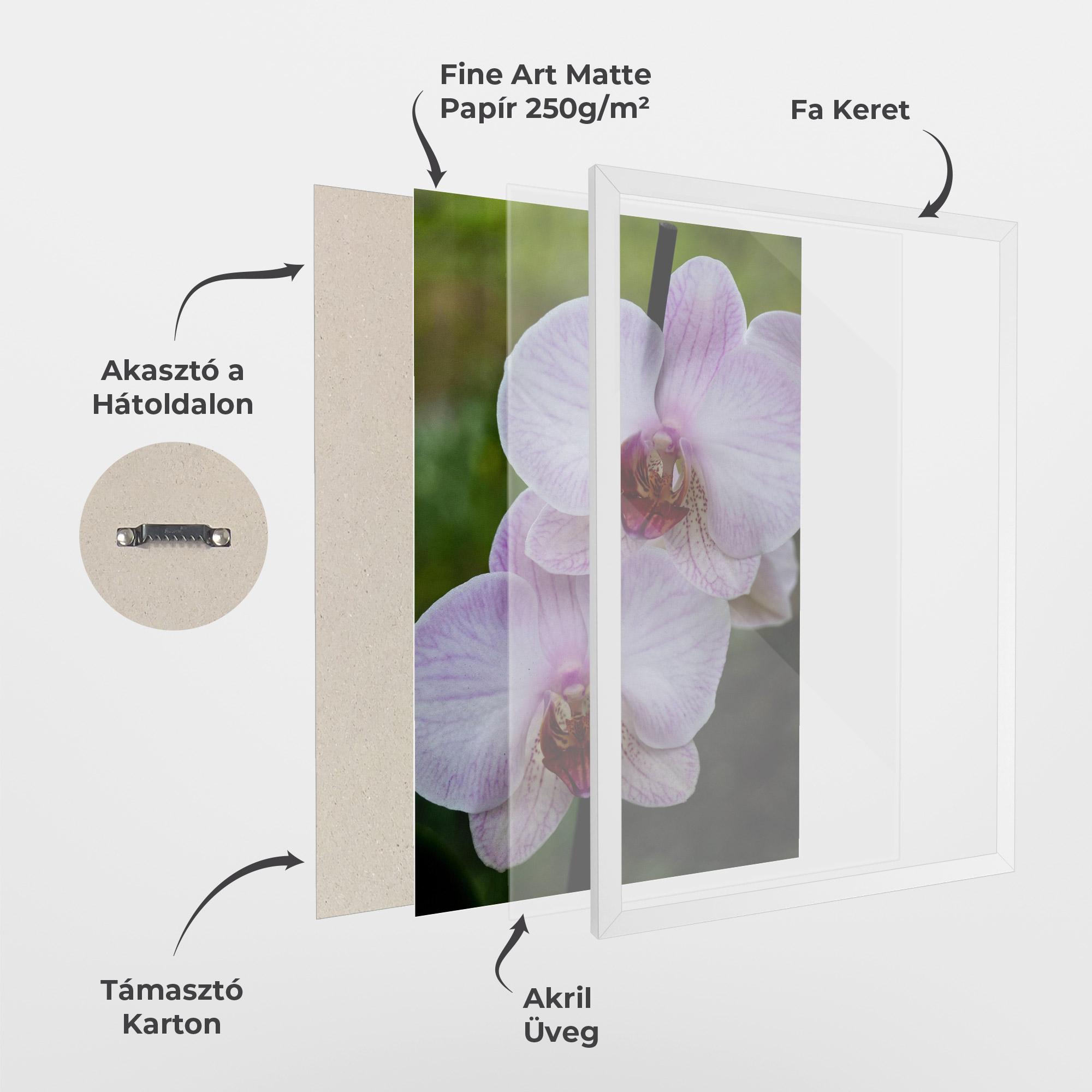 Keretezett Poszter Garden Light Purple Orchid mockup 1