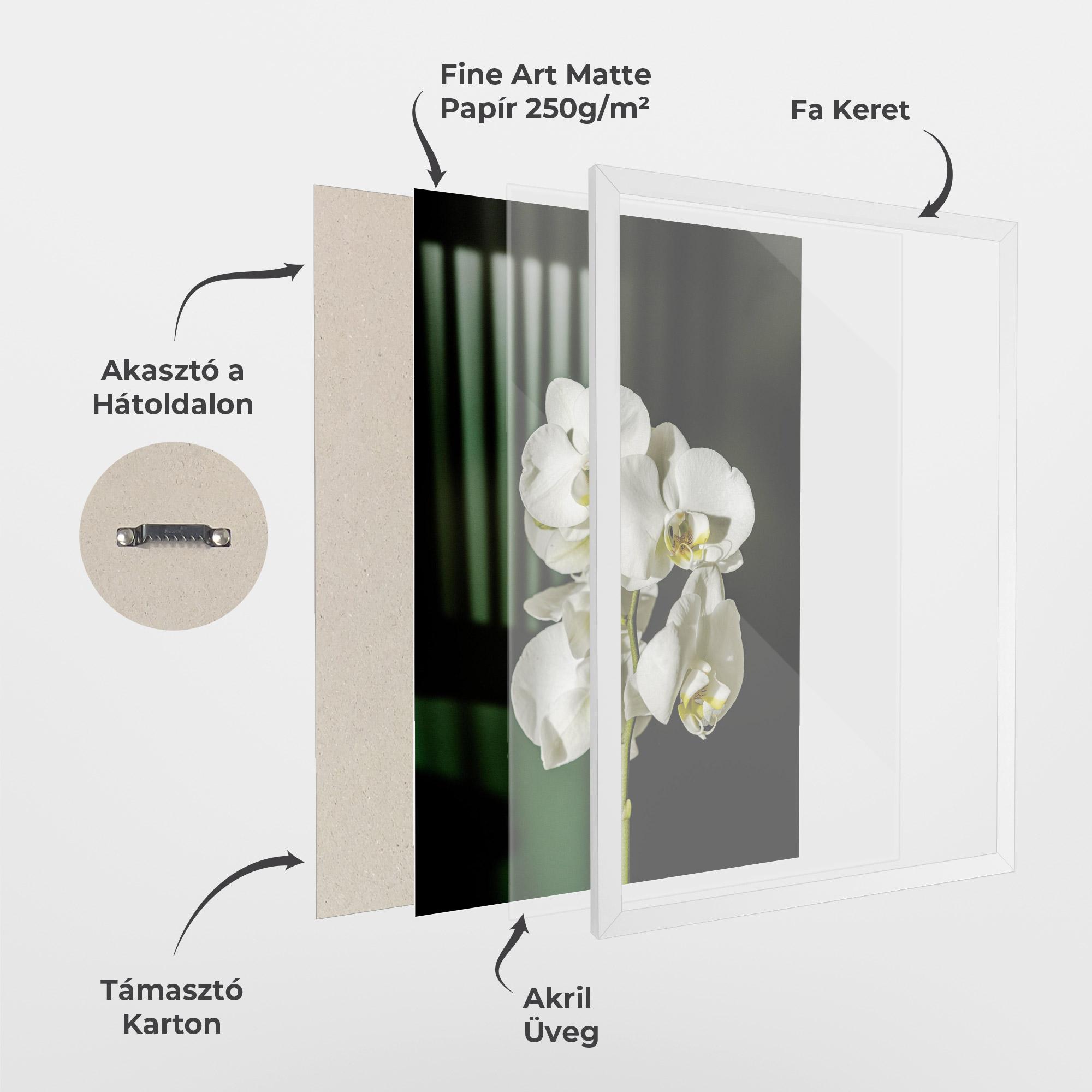 Keretezett Poszter Orchid On Green mockup 1