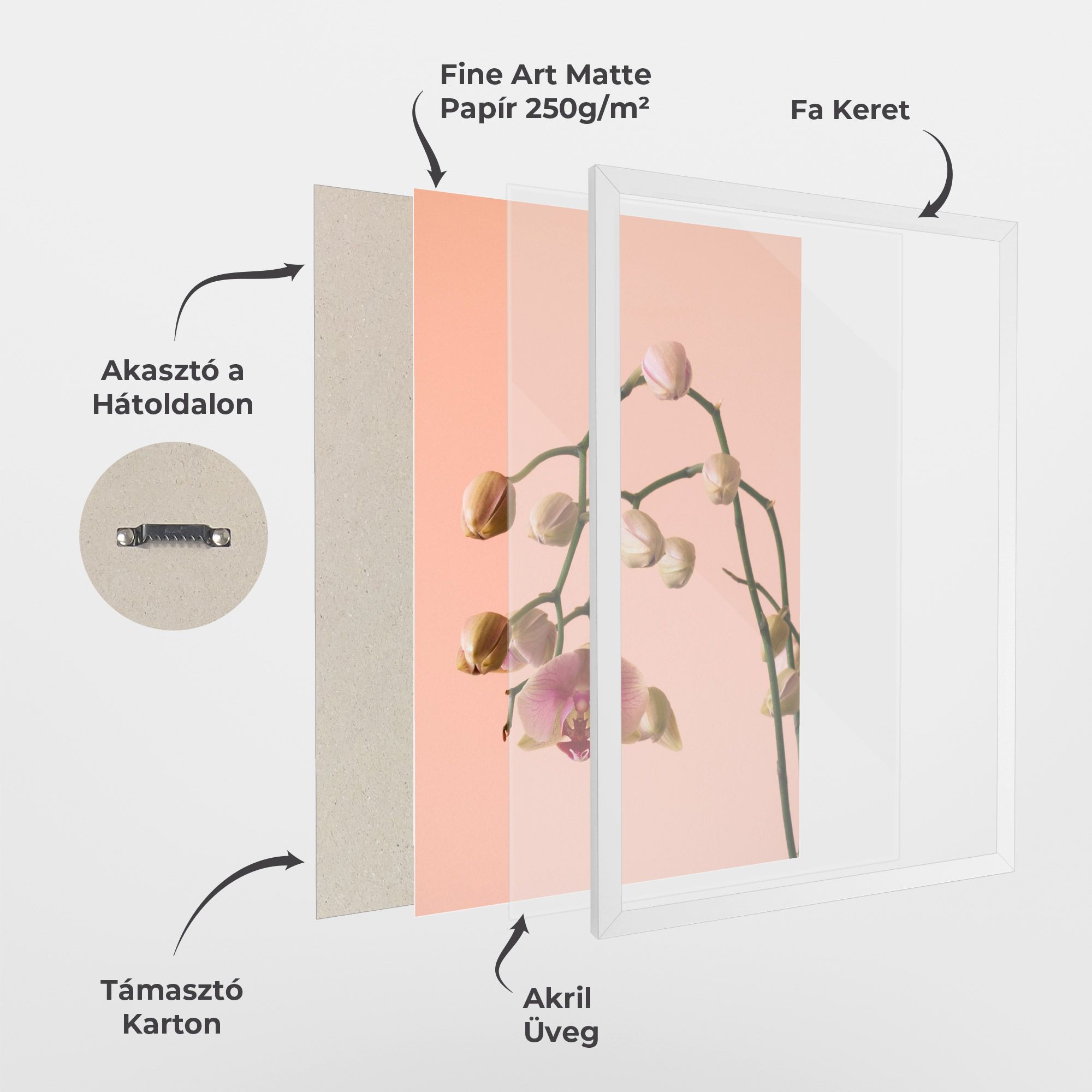 Orchids On Pink mockup 1