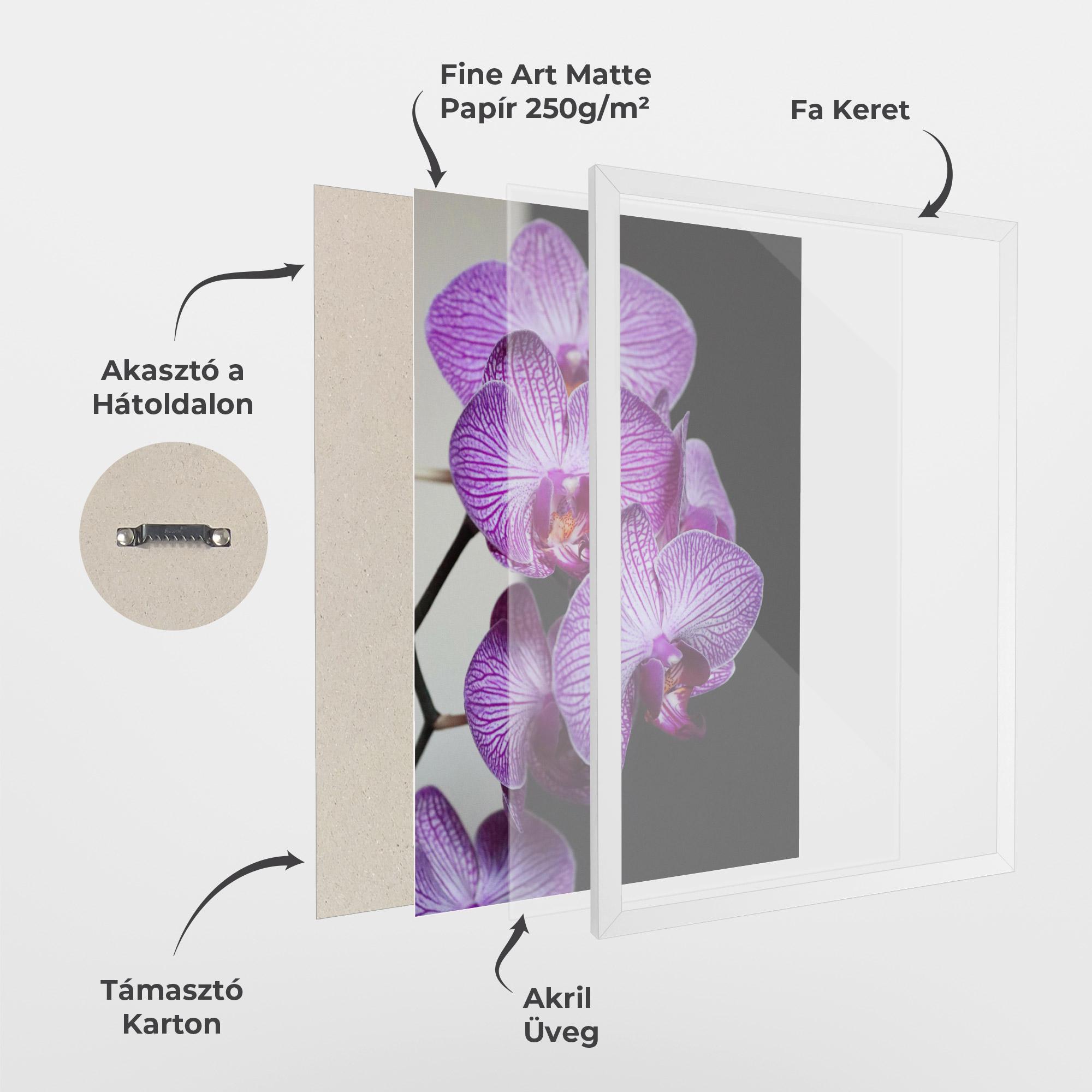 Keretezett Poszter Purple Orchid On Black mockup 1