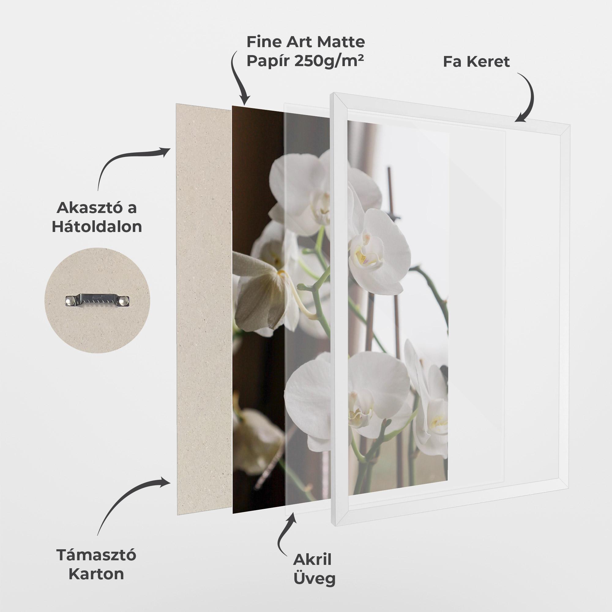 Keretezett Poszter White Orchid Growing mockup 1