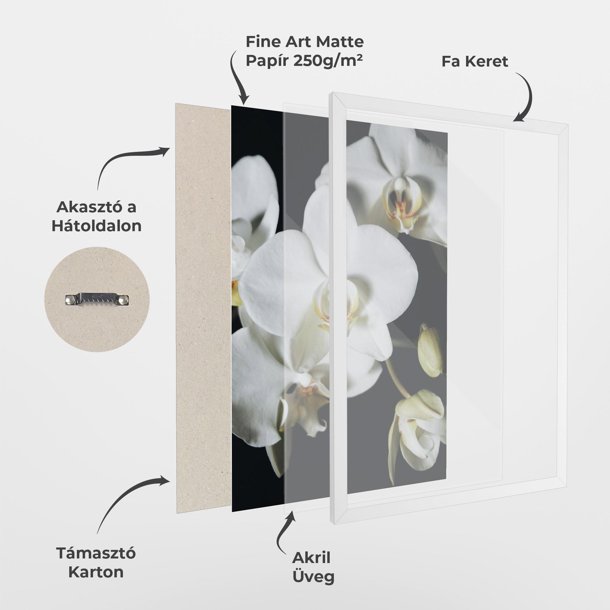 Keretezett Poszter White Orchid On Black mockup 1