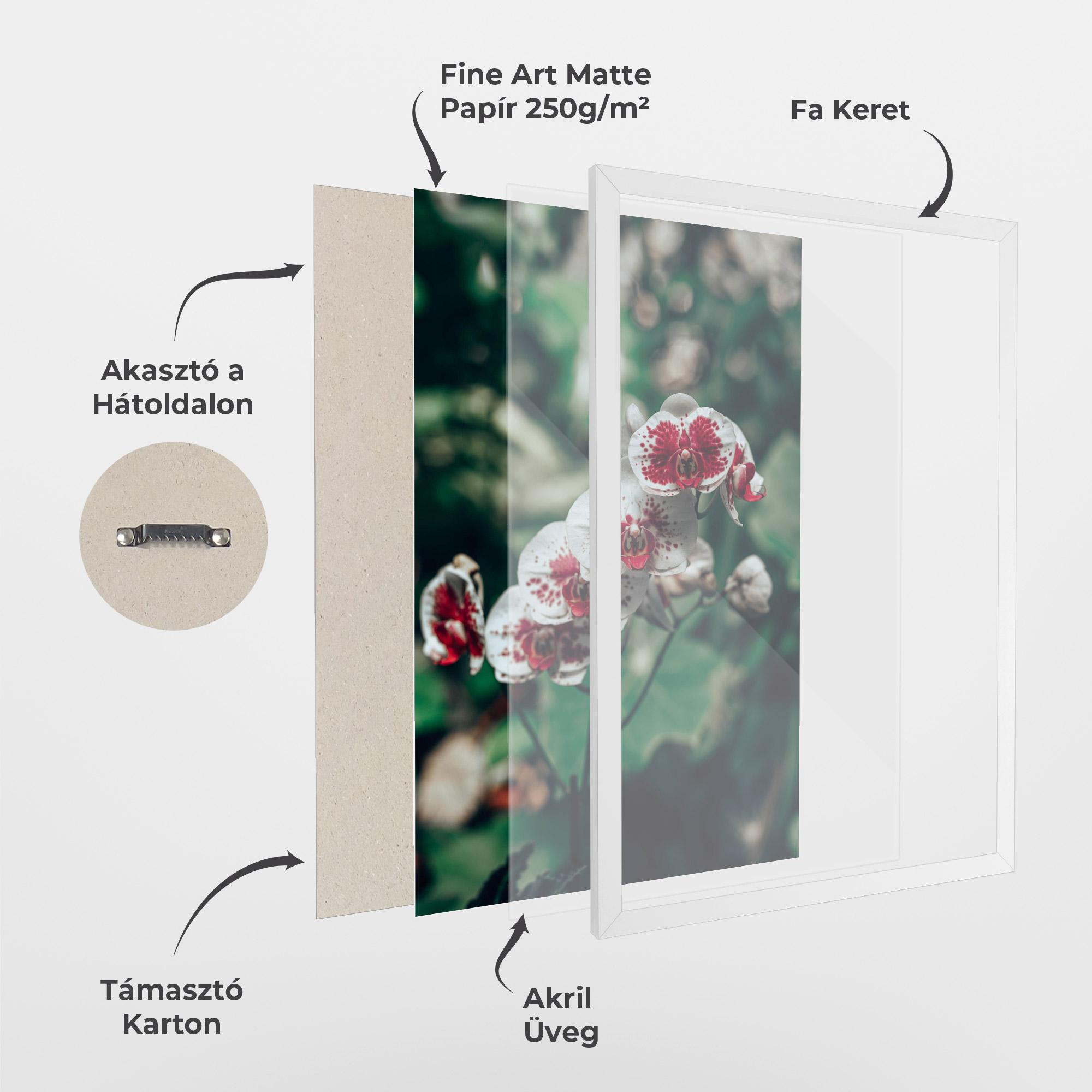 Keretezett Poszter White Red Orchid mockup 1