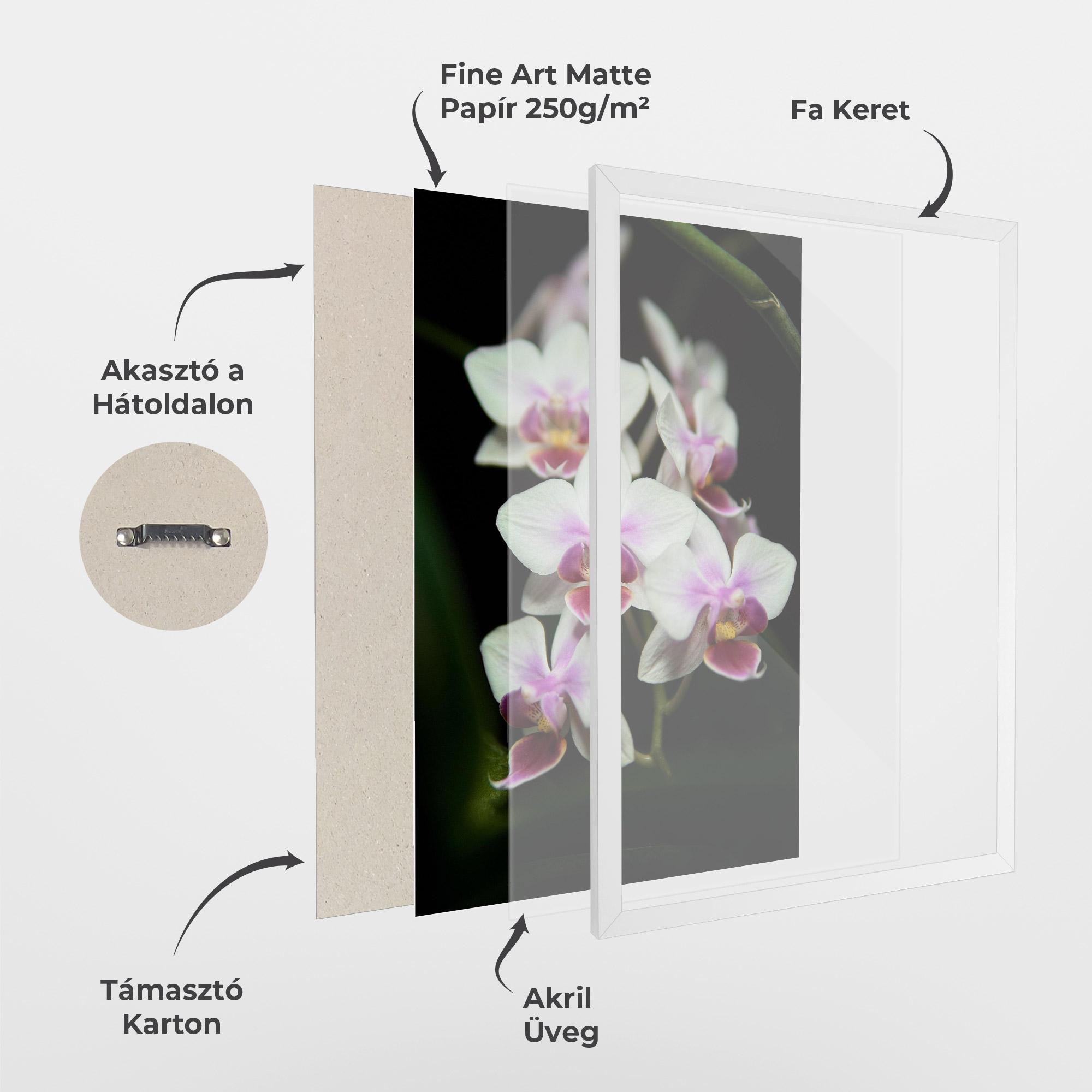 Keretezett Poszter Wild White Purple Orchid mockup 1