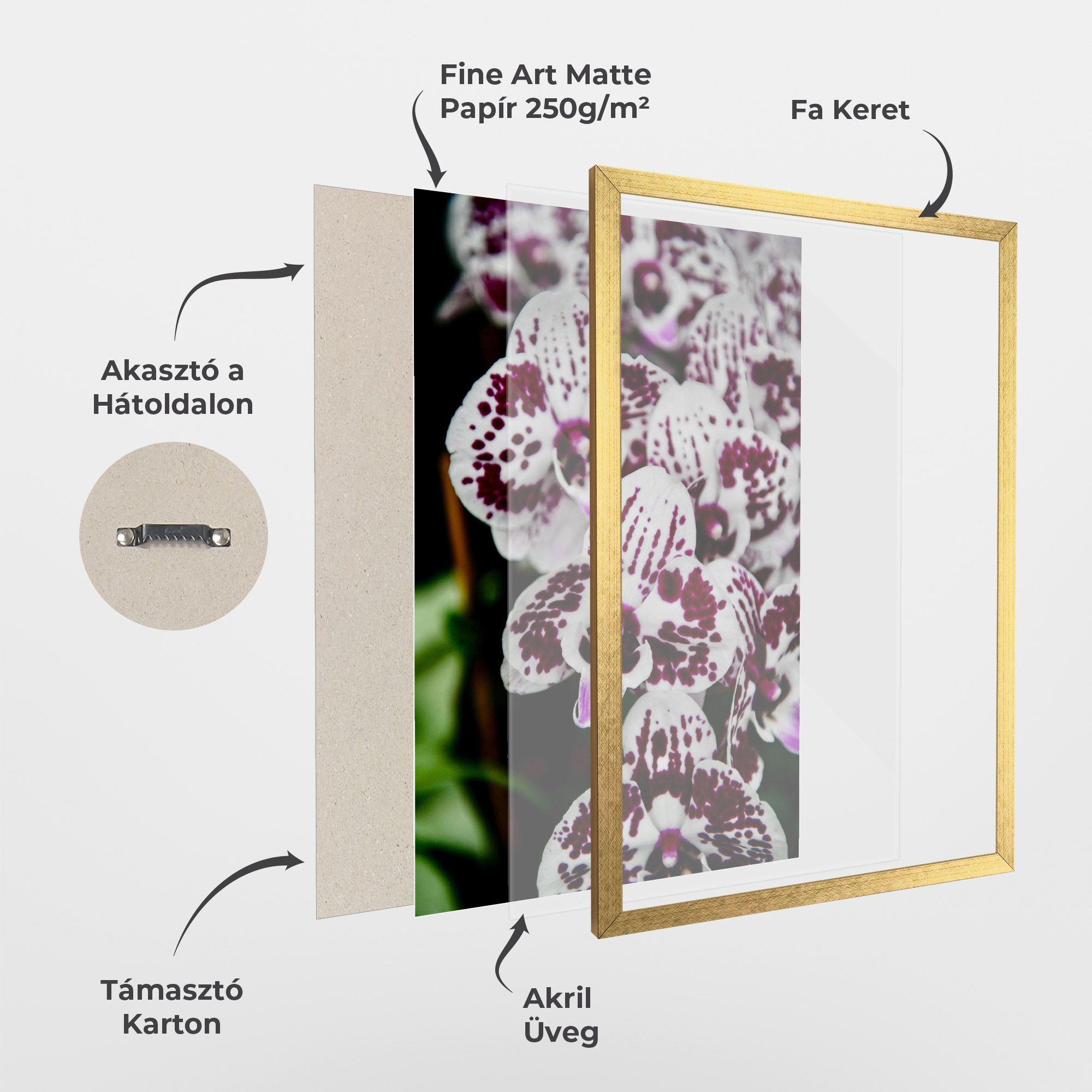 Dark Purple Orchids mockup 1