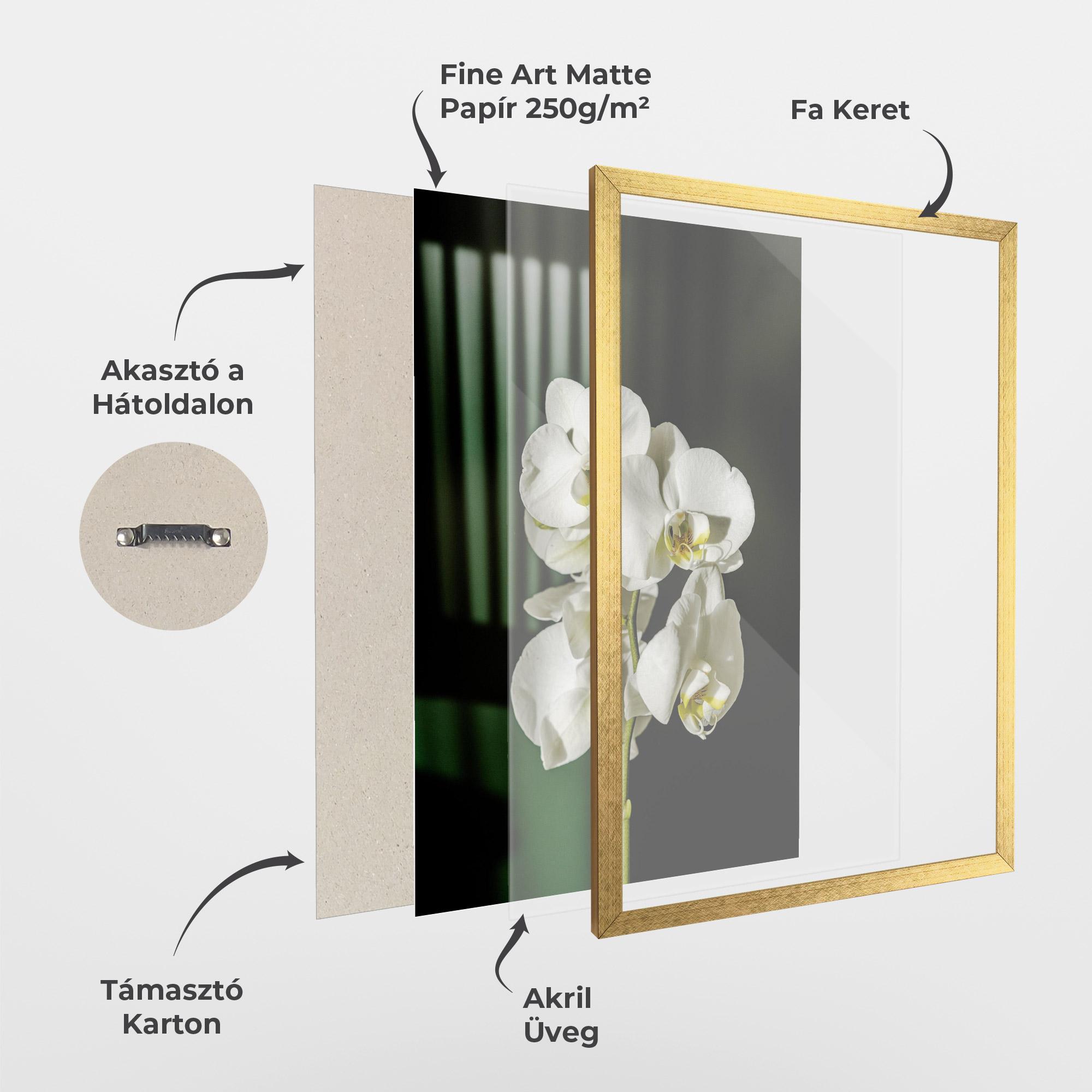 Keretezett Poszter Orchid On Green mockup 1