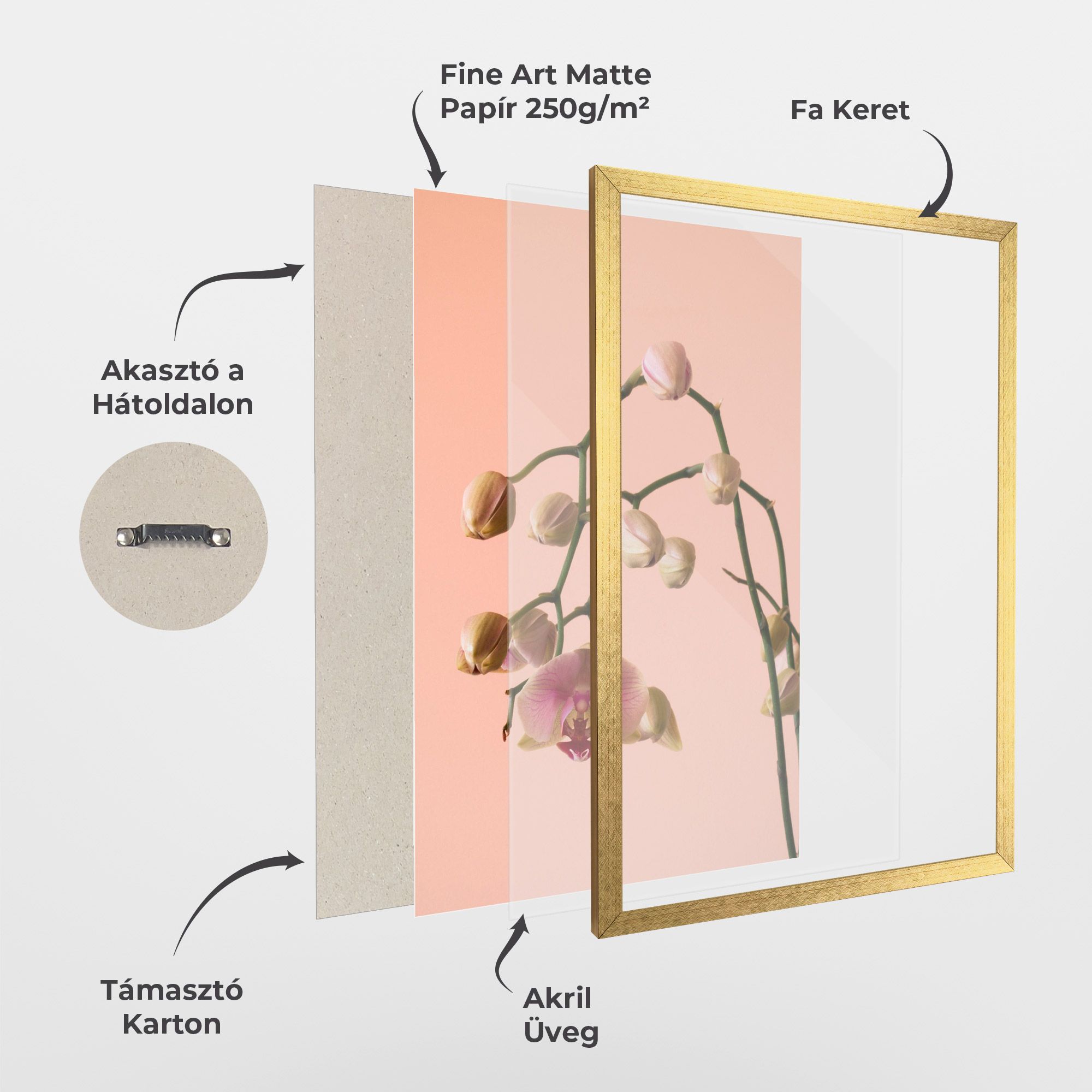 Orchids On Pink mockup 1