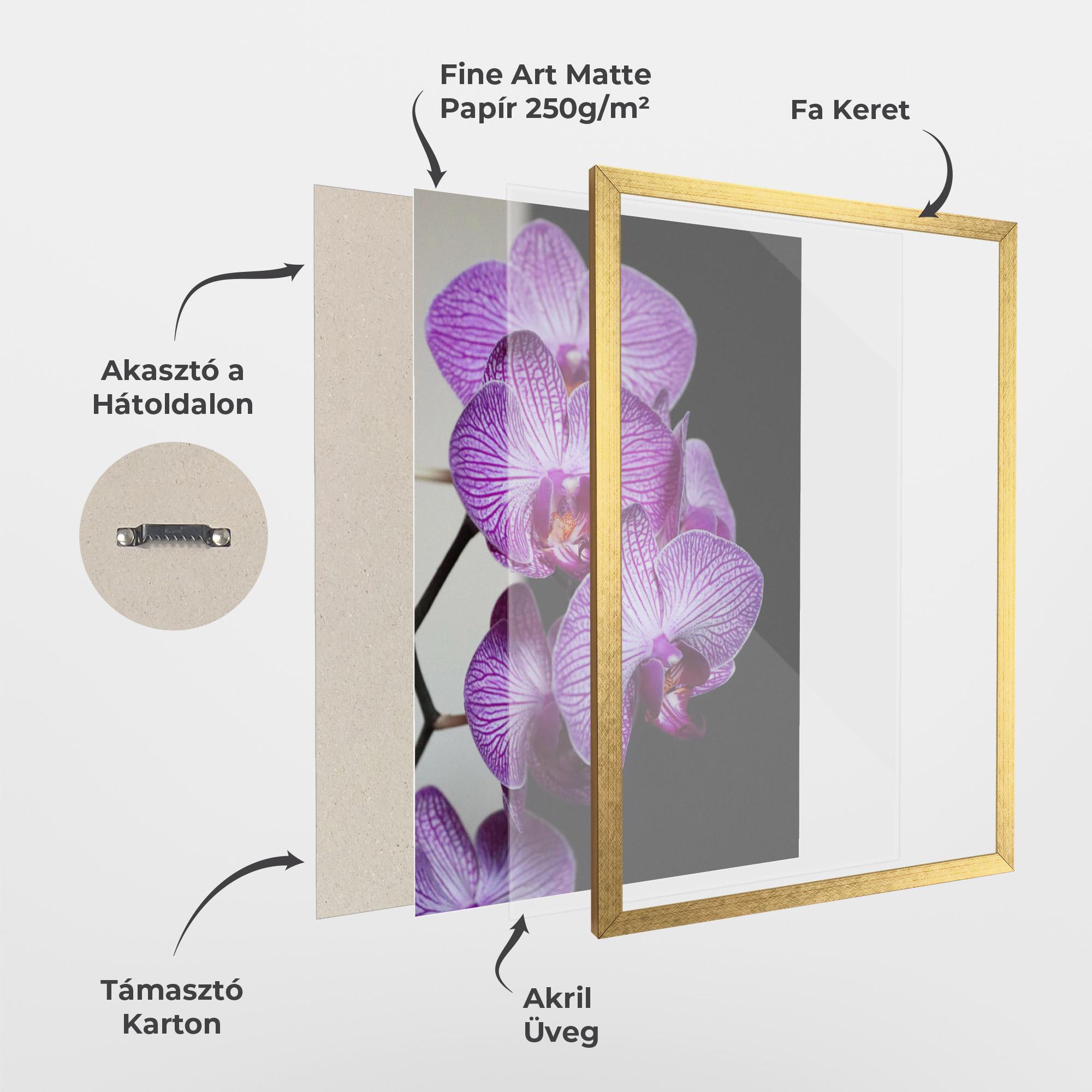 Keretezett Poszter Purple Orchid On Black mockup 1