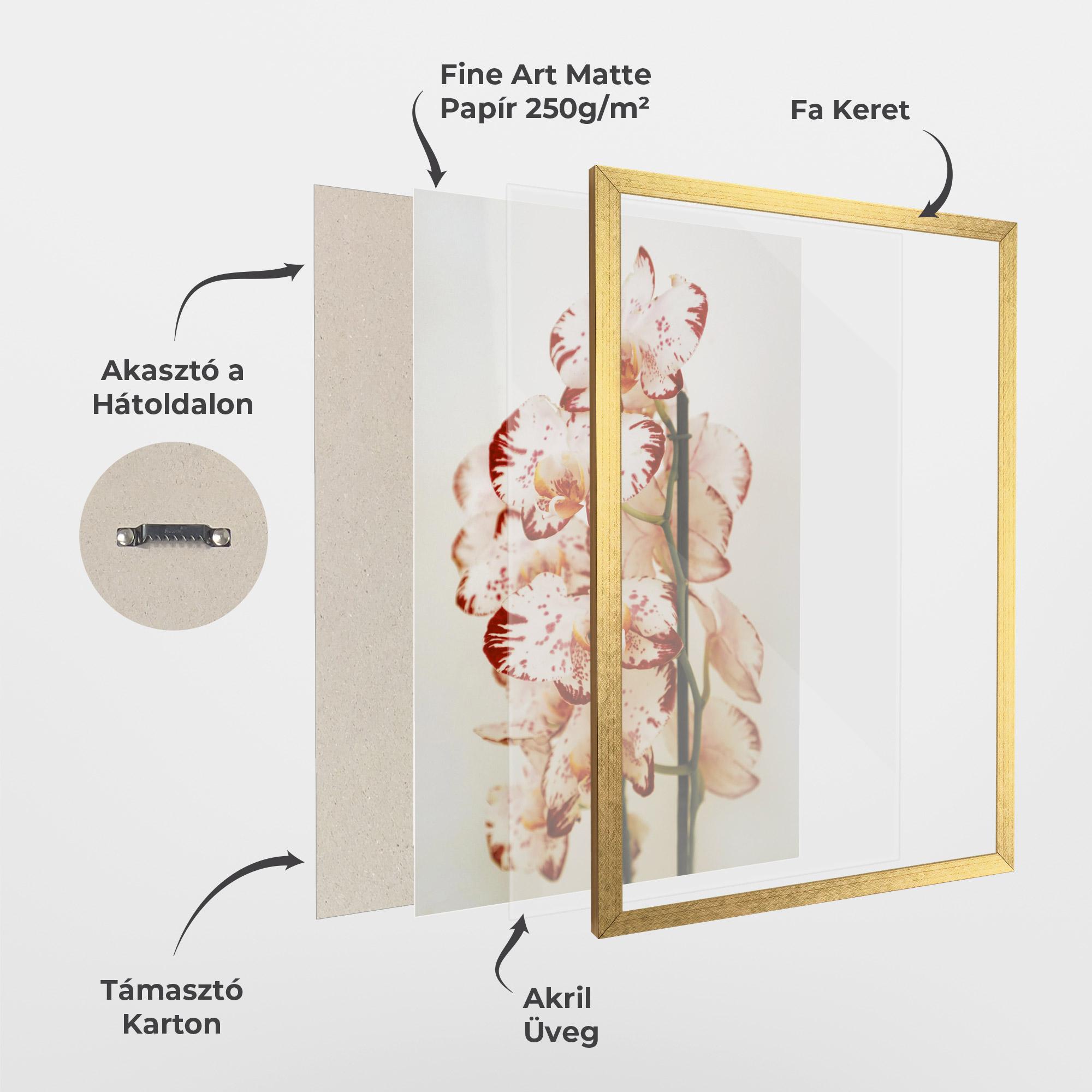 Keretezett Poszter Red White Orchids mockup 1