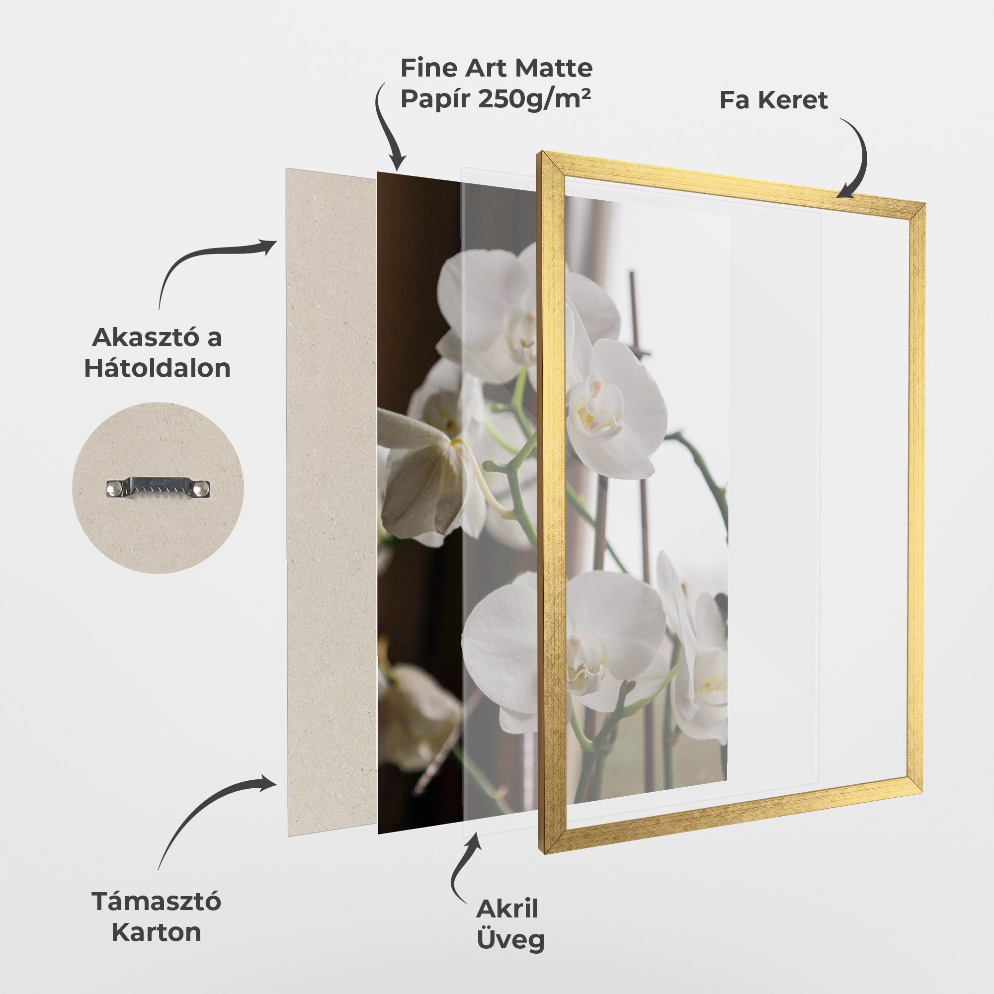 White Orchid Growing mockup 1