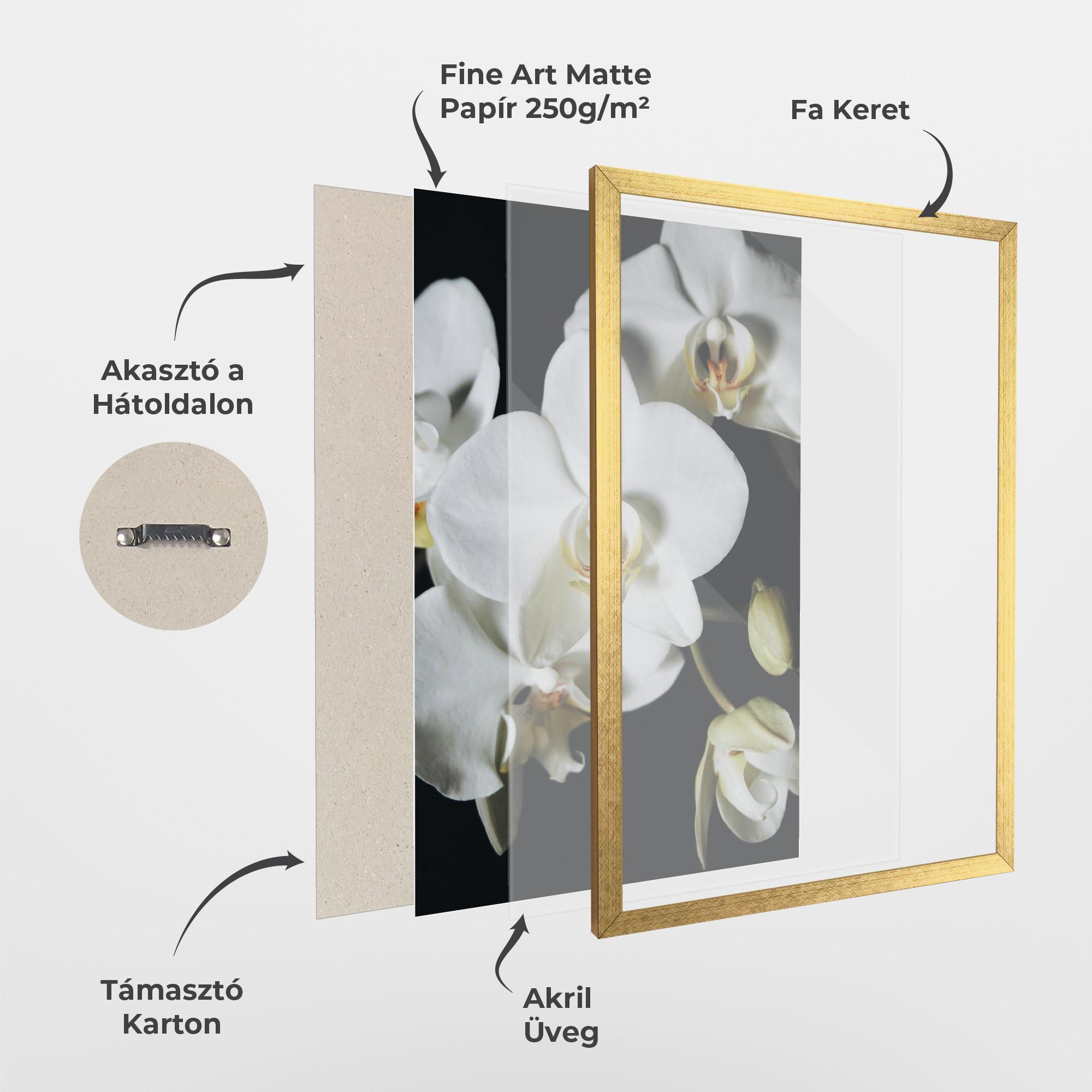 Keretezett Poszter White Orchid On Black mockup 1