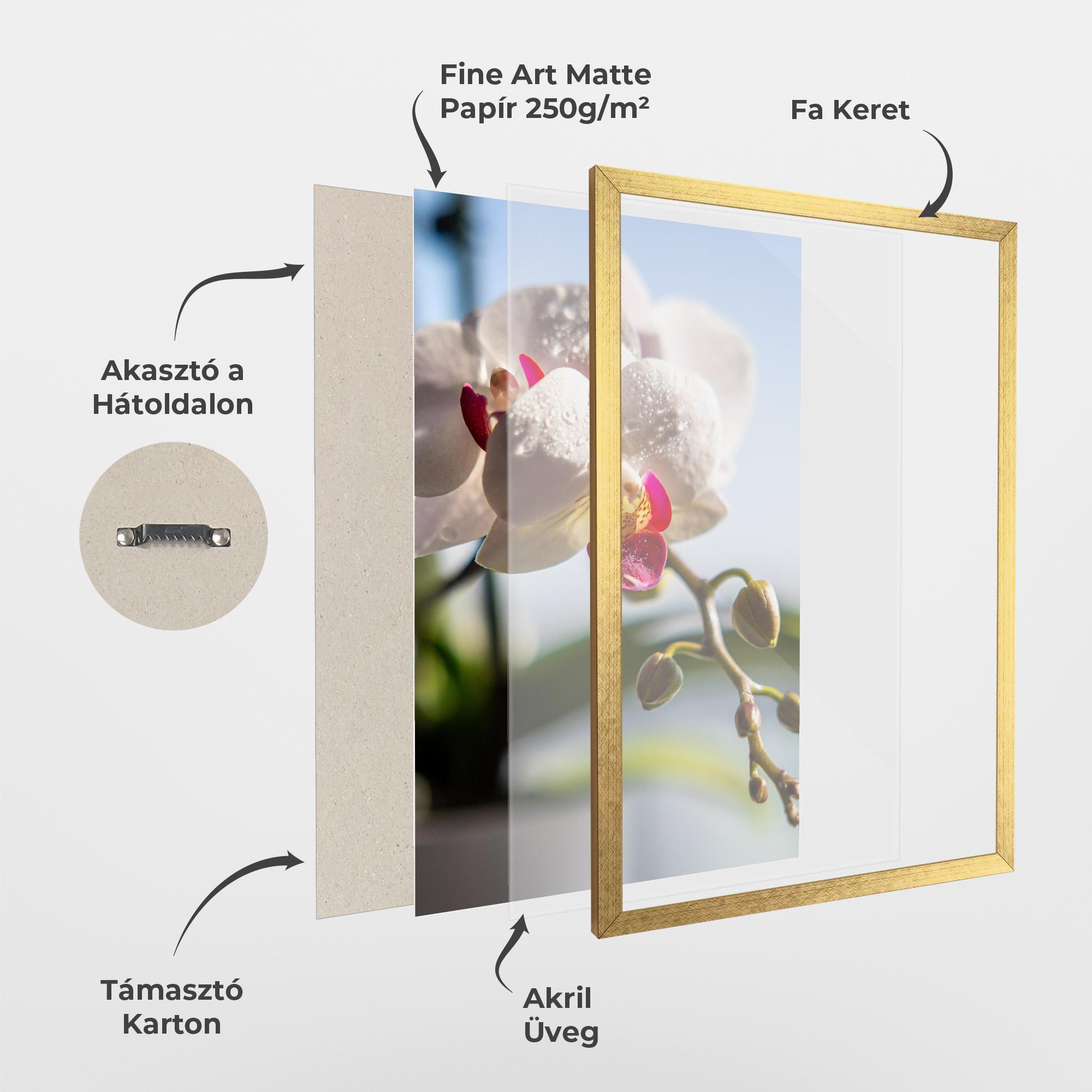 Keretezett Poszter White Orchid With Water mockup 1