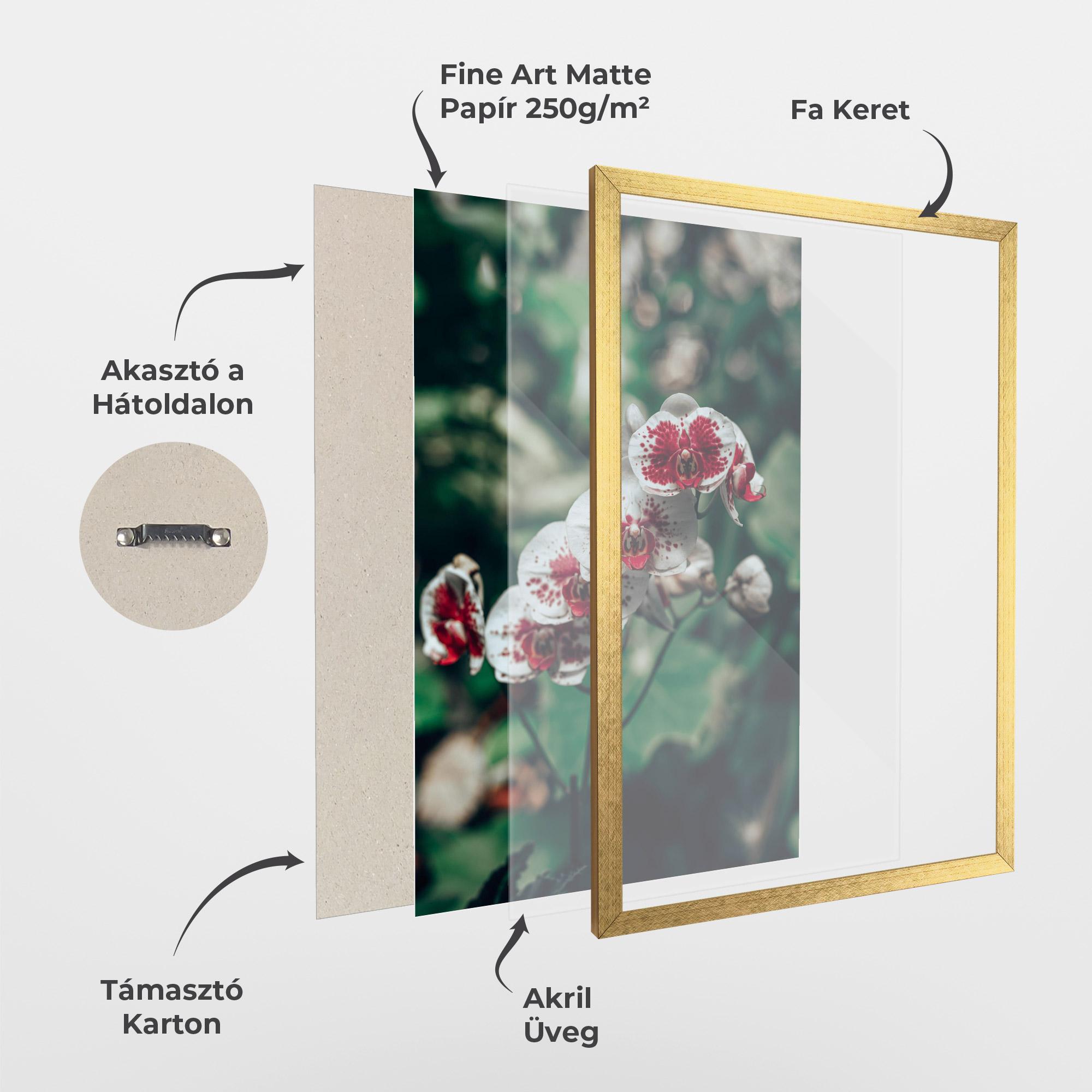 Keretezett Poszter White Red Orchid mockup 1