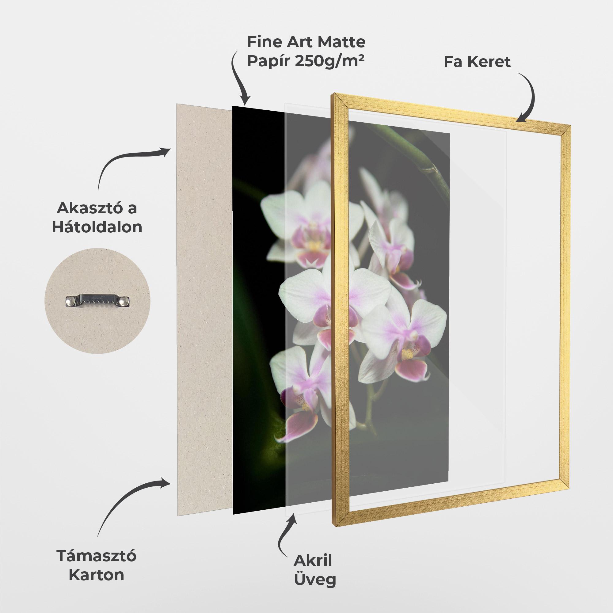 Keretezett Poszter Wild White Purple Orchid mockup 1