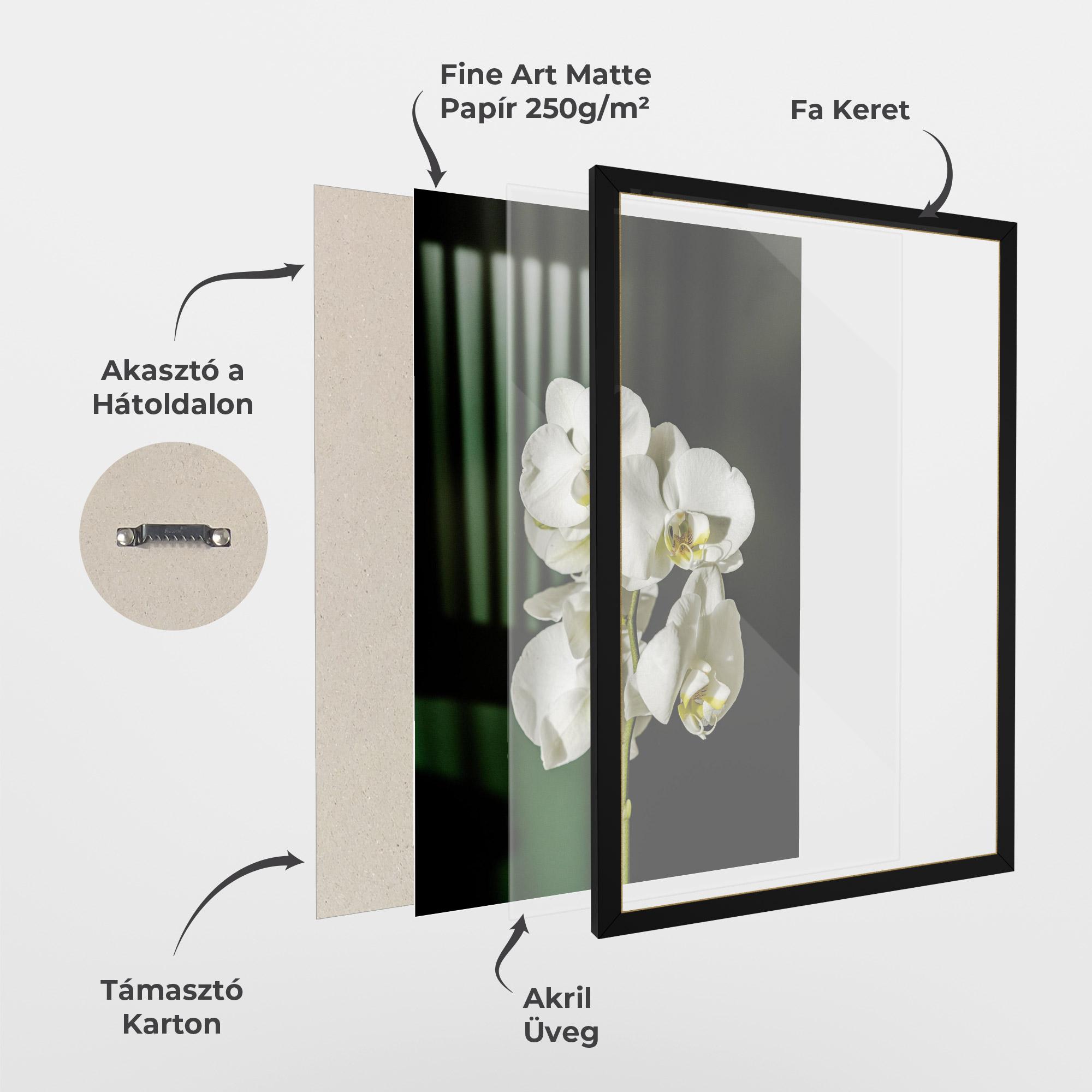 Keretezett Poszter Orchid On Green mockup 1