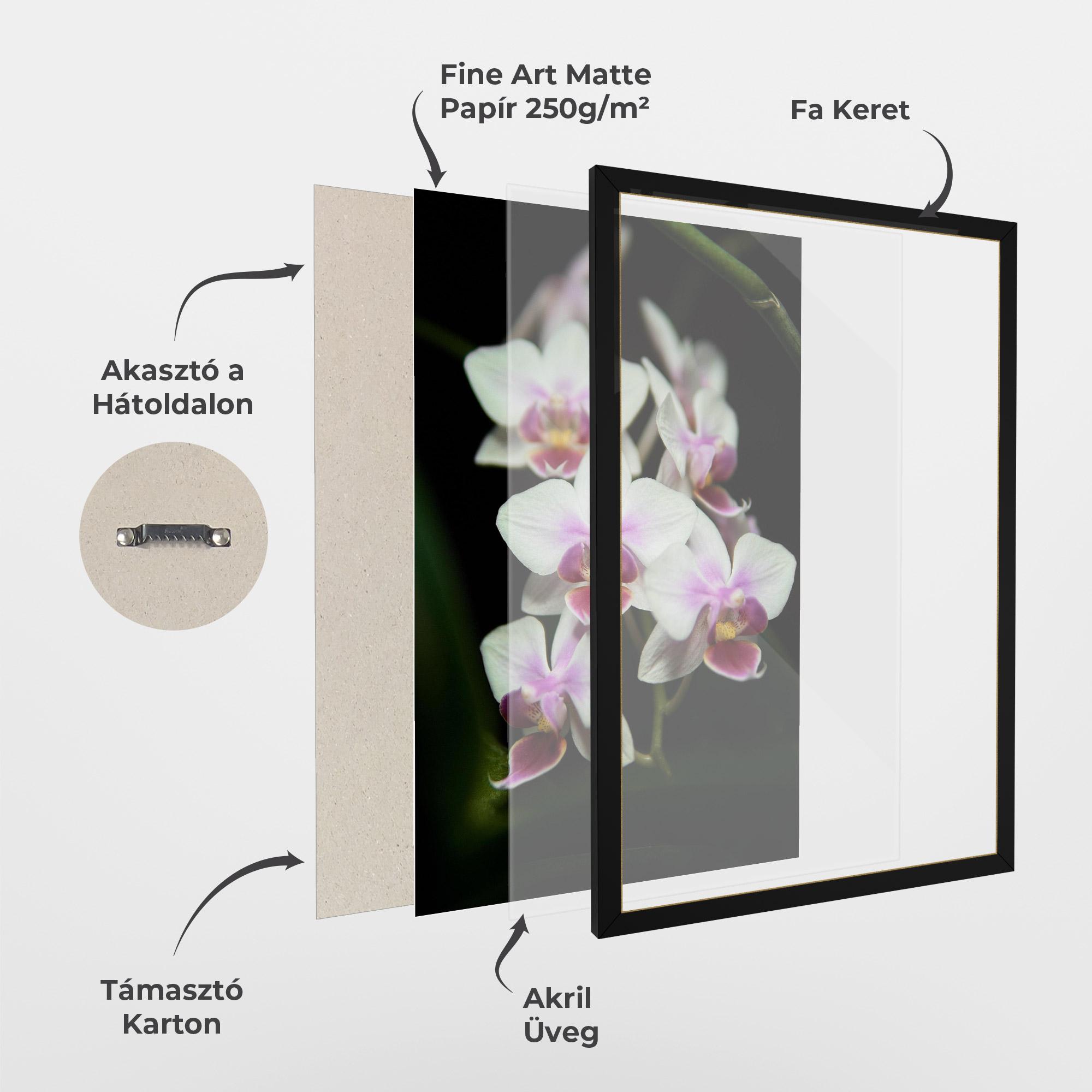 Keretezett Poszter Wild White Purple Orchid mockup 1