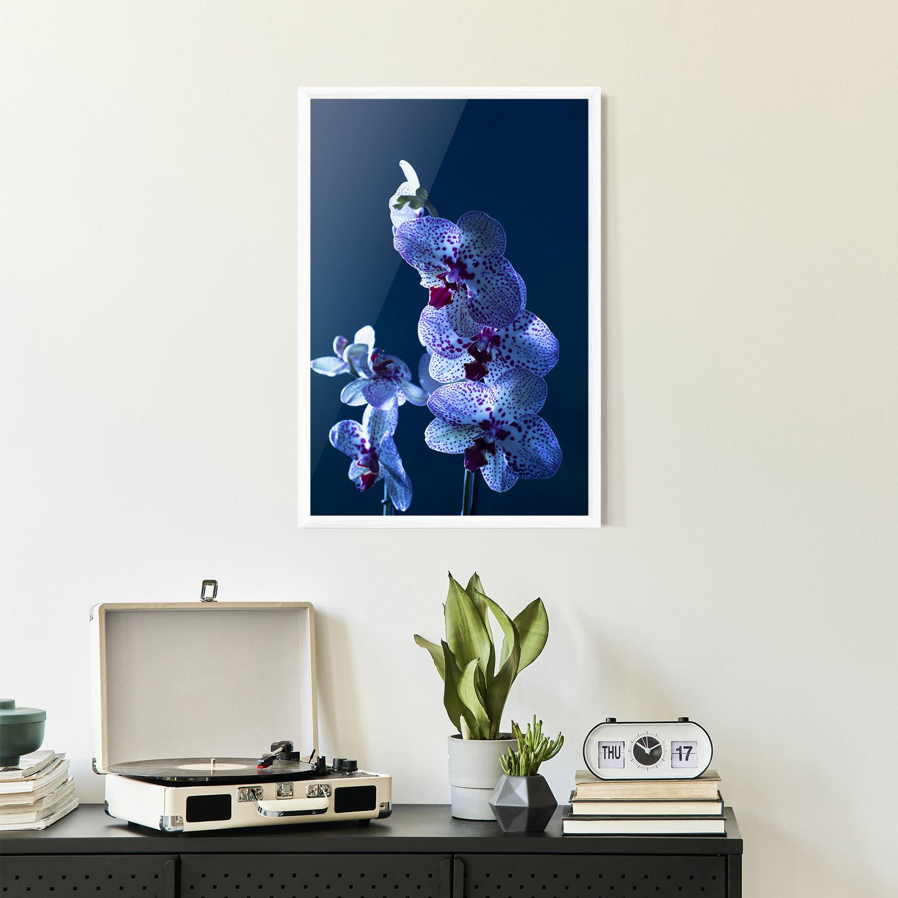 Keretezett Poszter Blue Light Orchid mockup 2