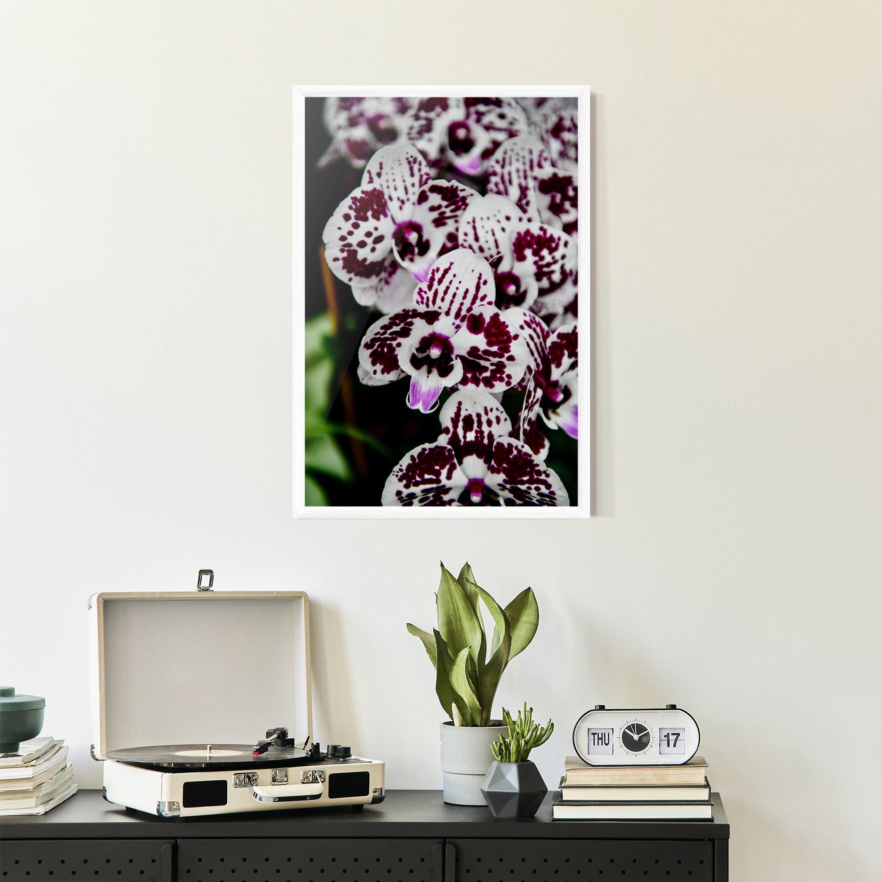 Keretezett Poszter Dark Purple Orchids mockup 2