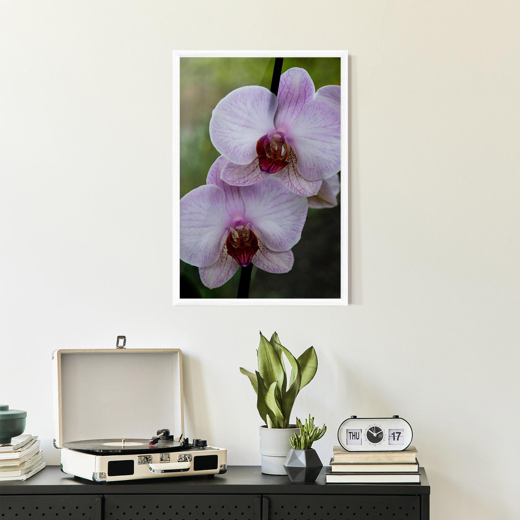 Keretezett Poszter Garden Light Purple Orchid mockup 2