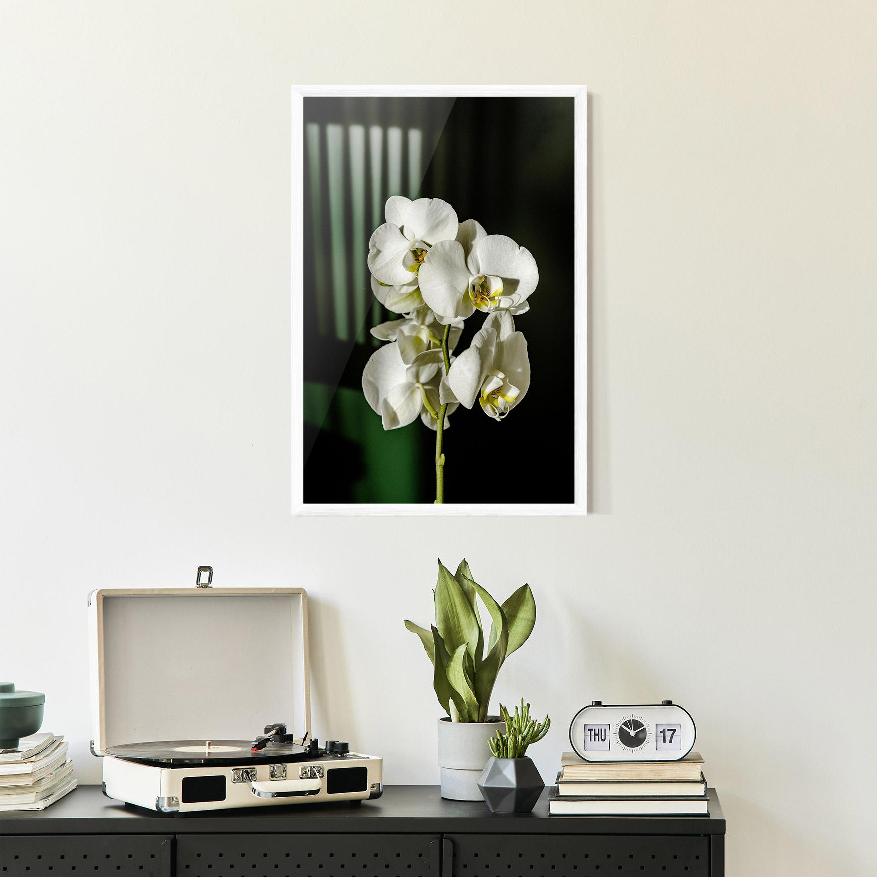 Keretezett Poszter Orchid On Green mockup 2