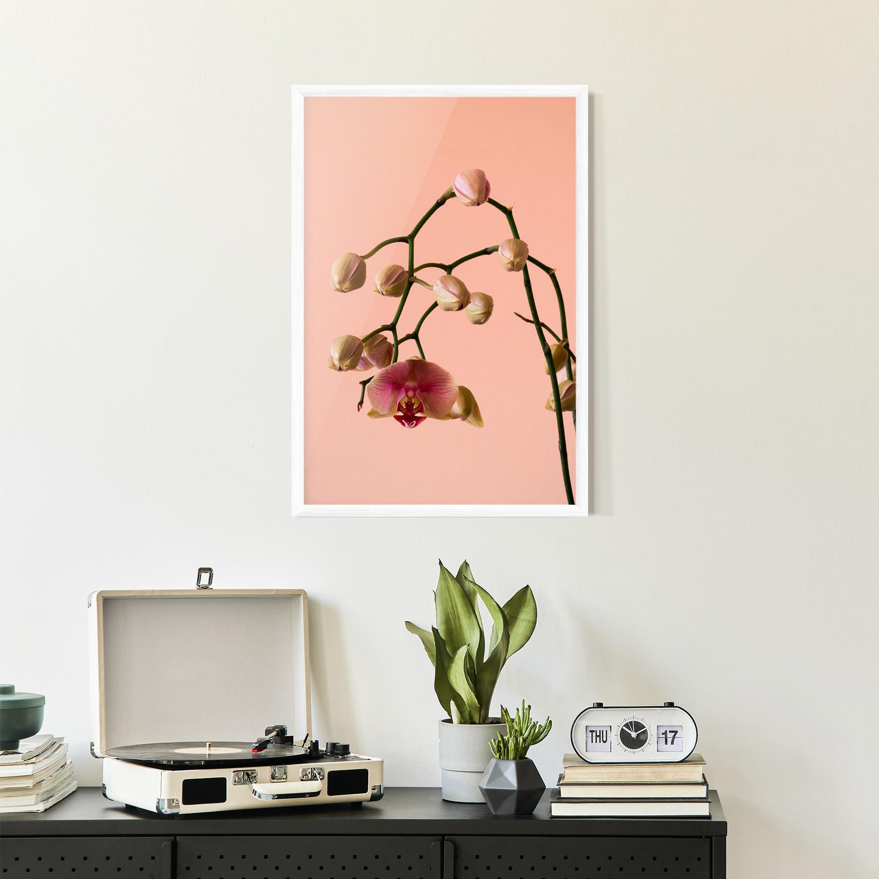 Keretezett Poszter Orchids On Pink mockup 2