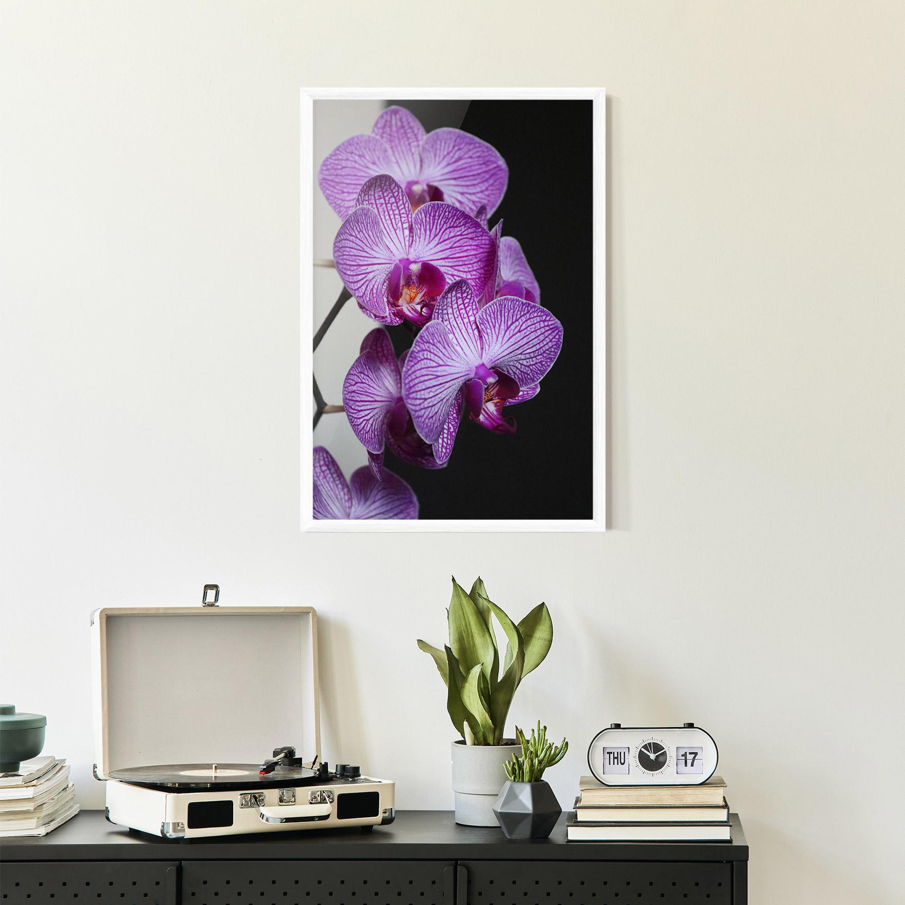 Keretezett Poszter Purple Orchid On Black mockup 2